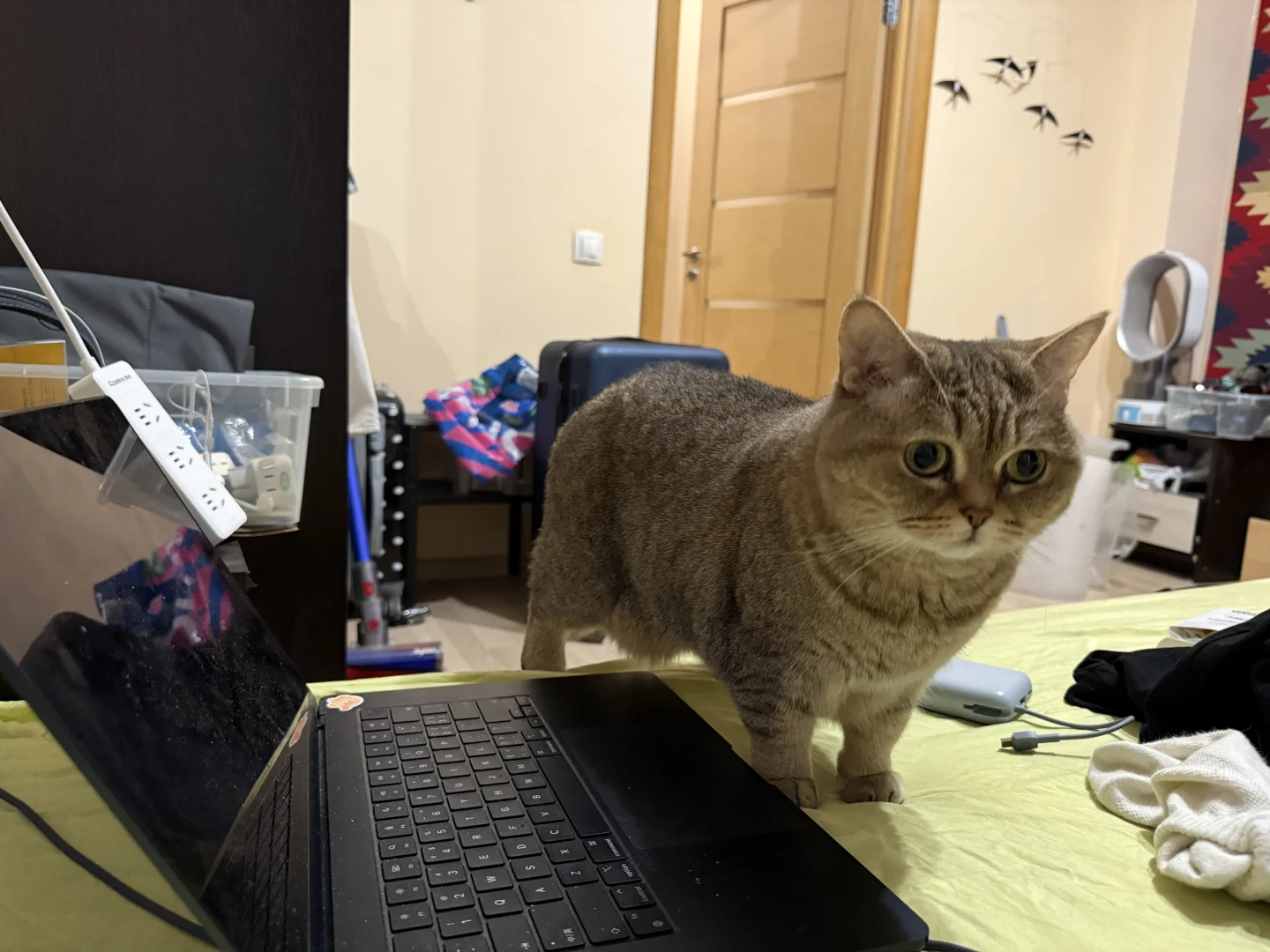 俄罗斯电子展，布展的一天