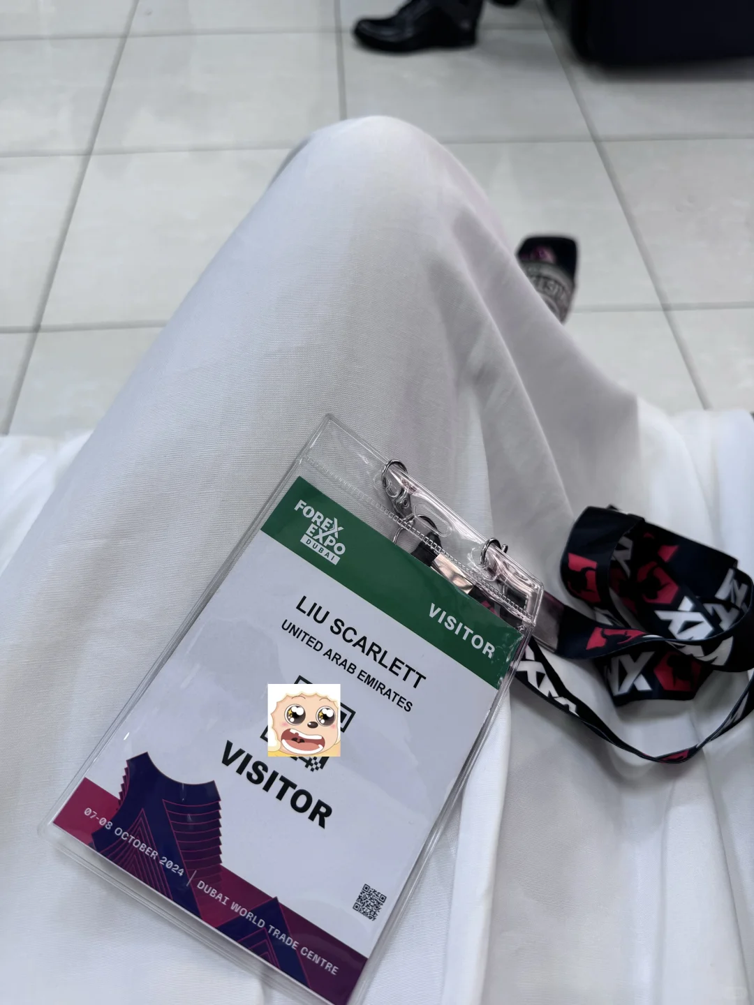 迪拜Forex Expo 2024?外汇展