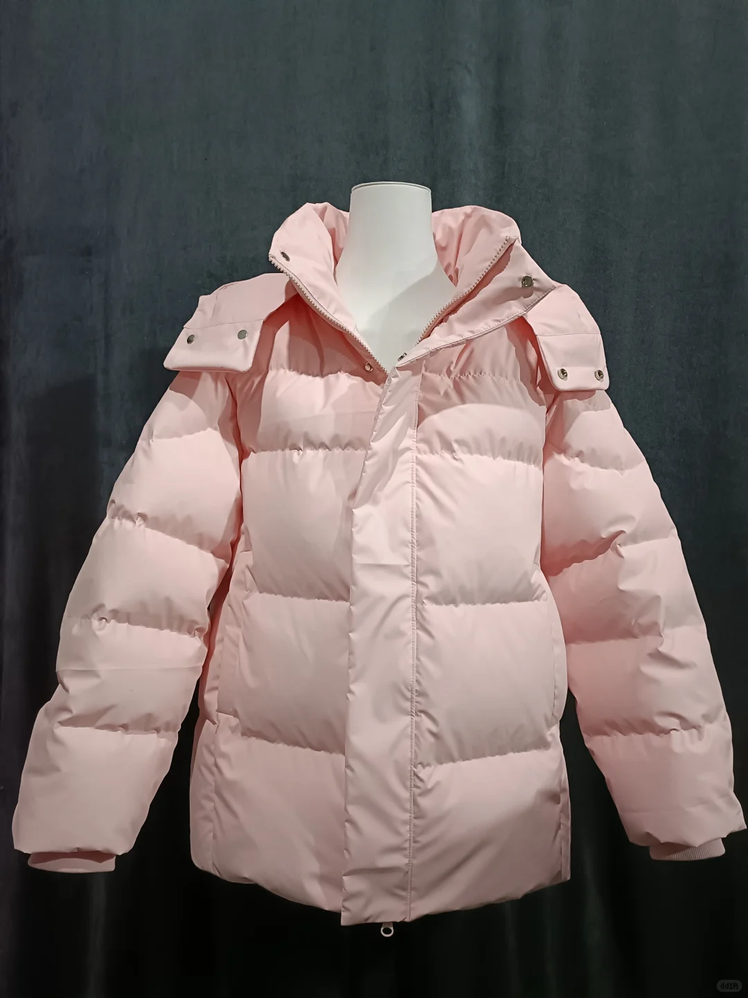 团购手作羽绒服短款五个颜色