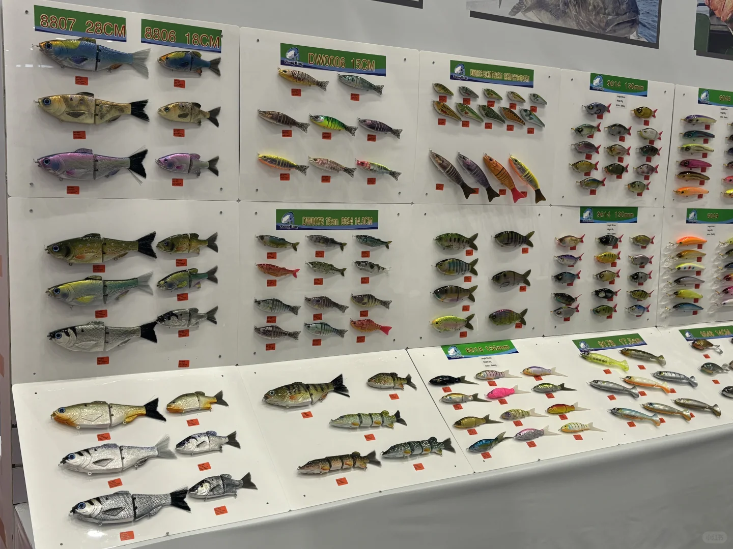 威海展第一天收获感觉还是蛮不错的！