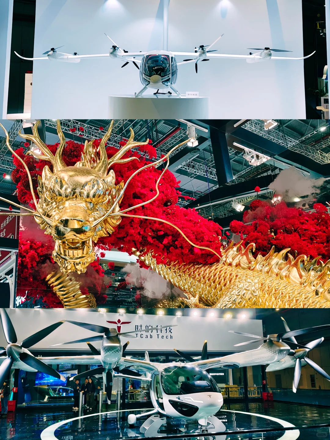 同济学子勇闯进博会