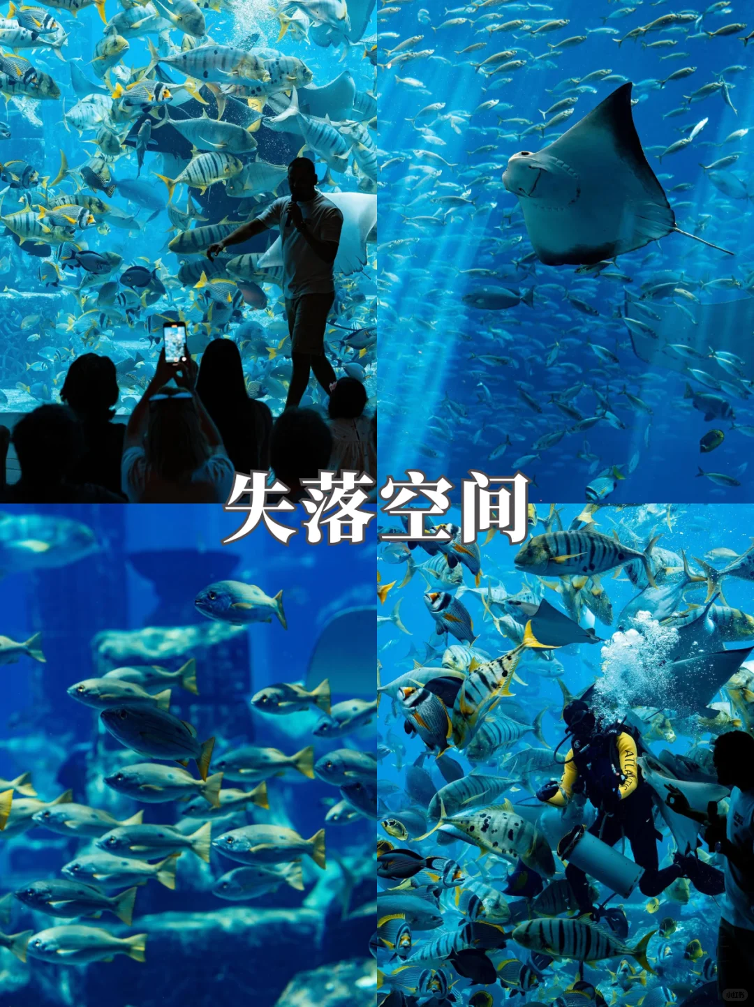 ?【迪拜必去九大景点】?2025年最新打卡清单