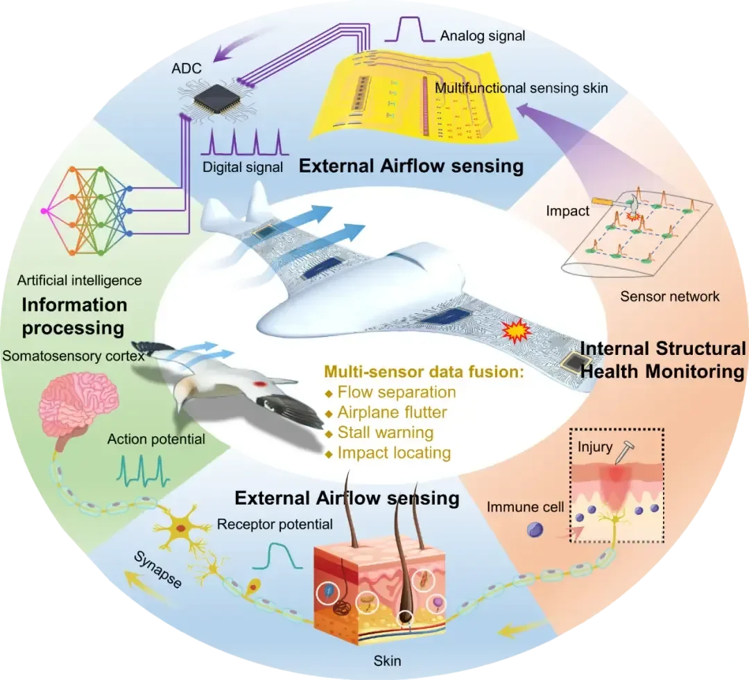 这些改变生活的黑科技都来自……