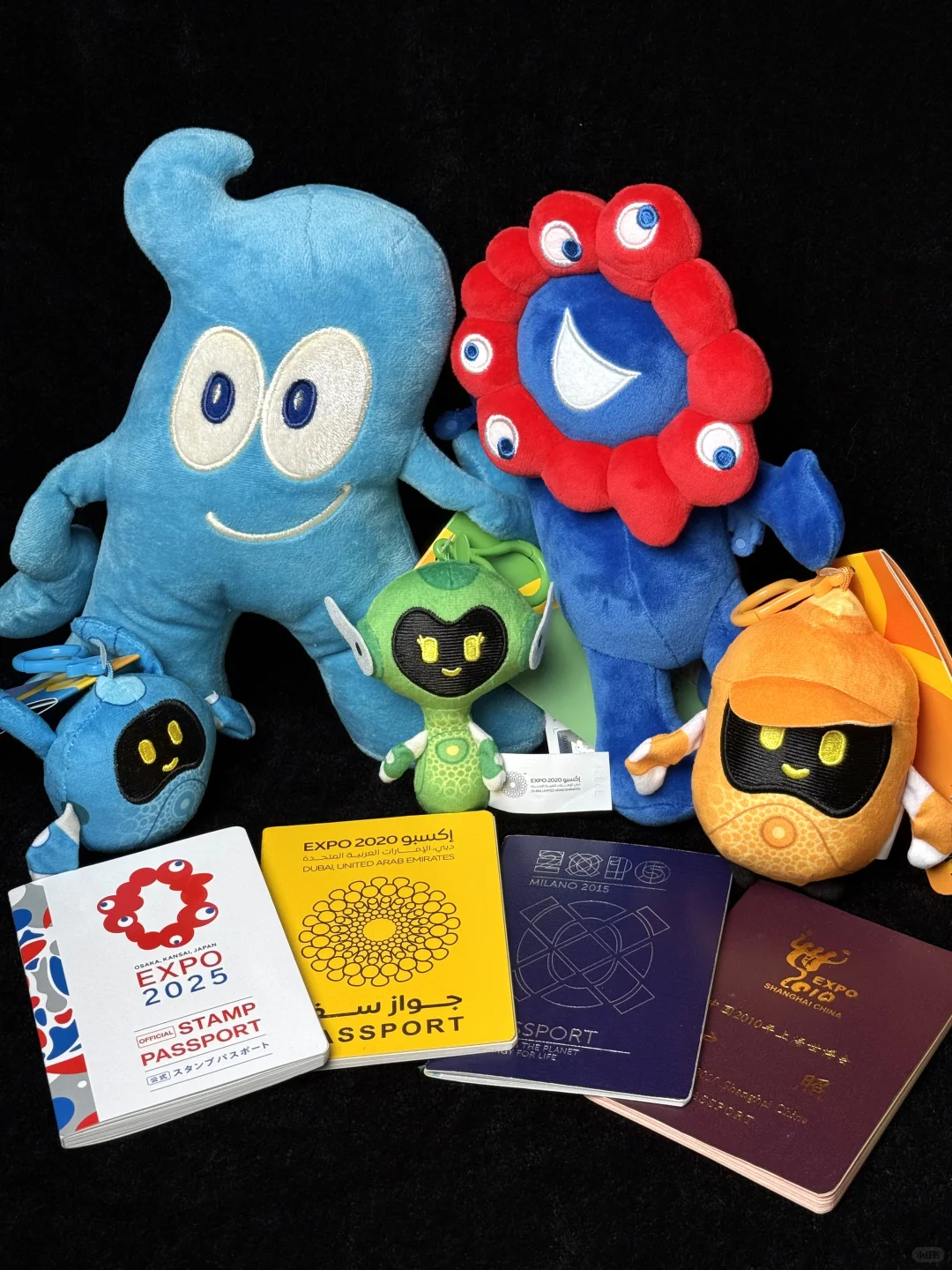 2030利雅得再见咯