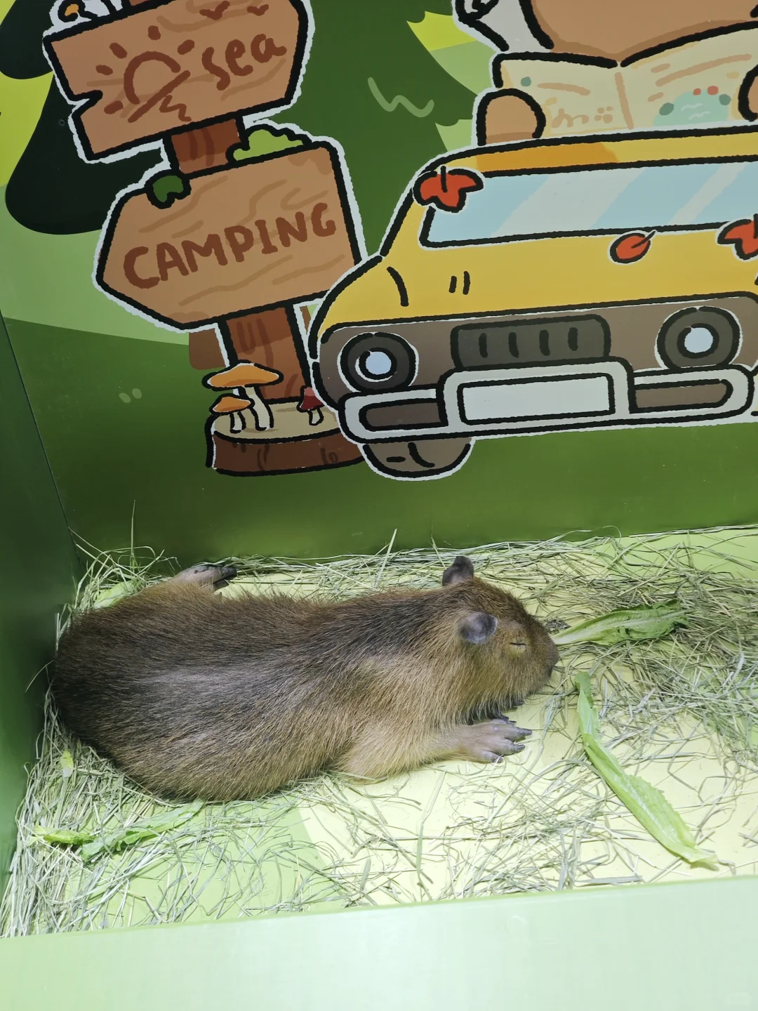 义乌文具展来咯