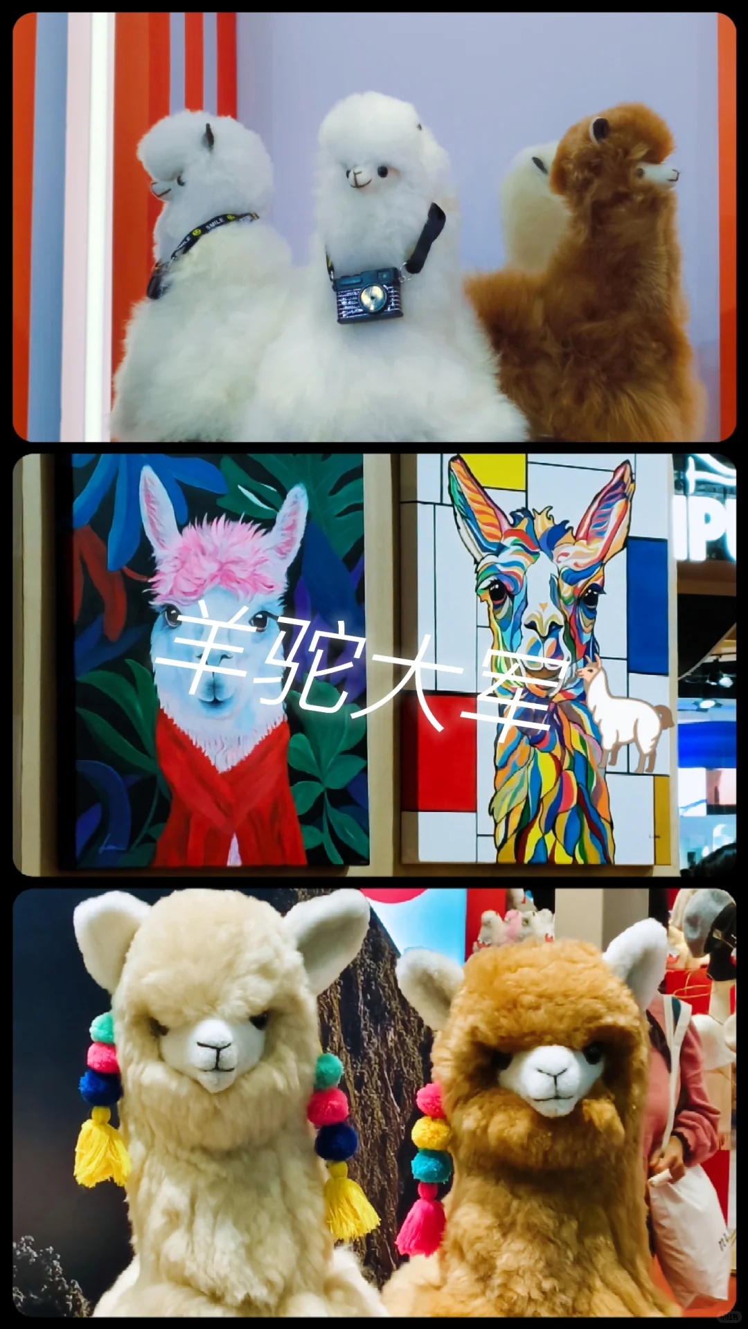 同济学子勇闯进博会