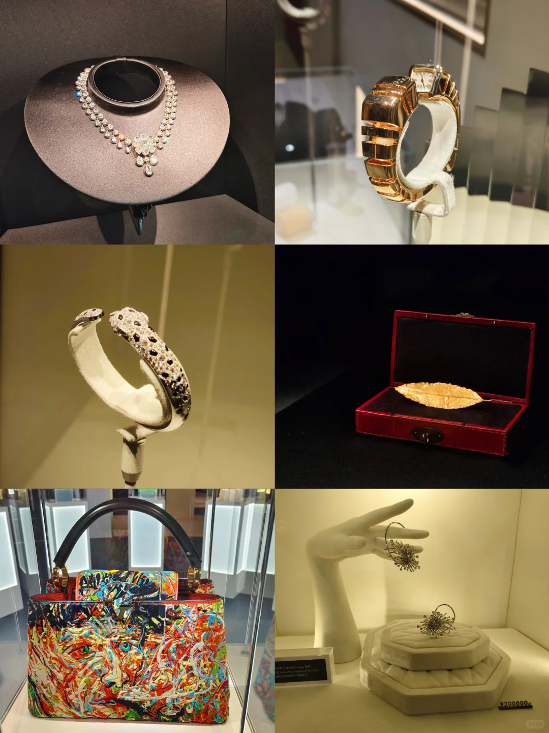 同济学子勇闯进博会