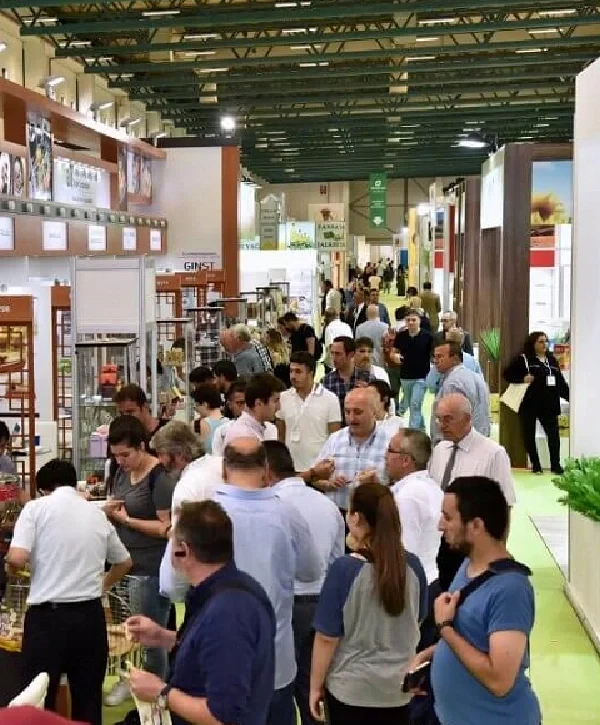 土耳其｜第一次见！这也能摆出来？？