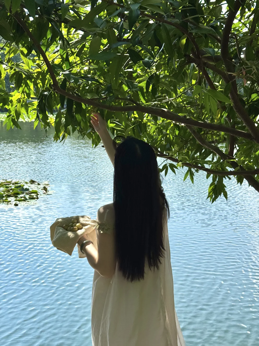 在深圳，十月是一场名为夏天的漫长诗篇
