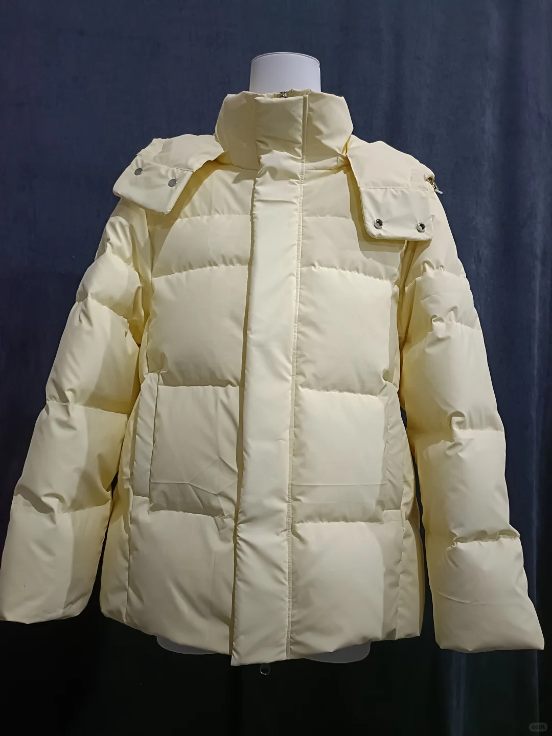 团购手作羽绒服短款五个颜色