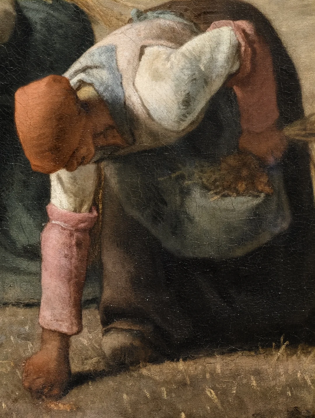 踩到奥赛展的尾巴