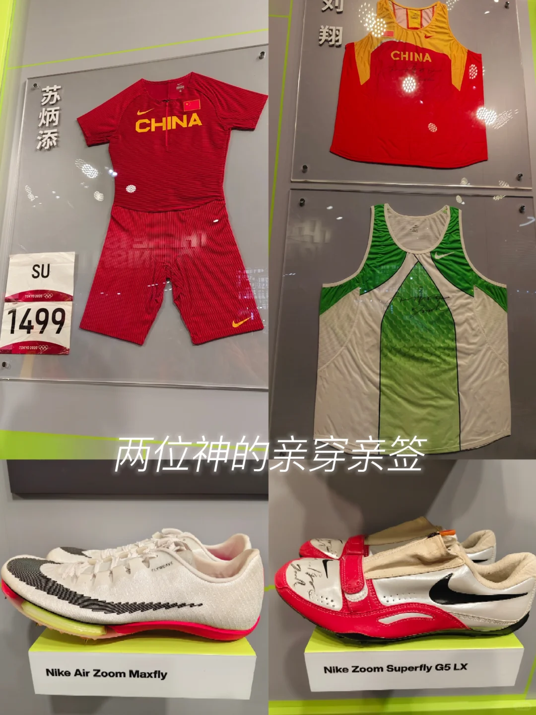 同济学子勇闯进博会