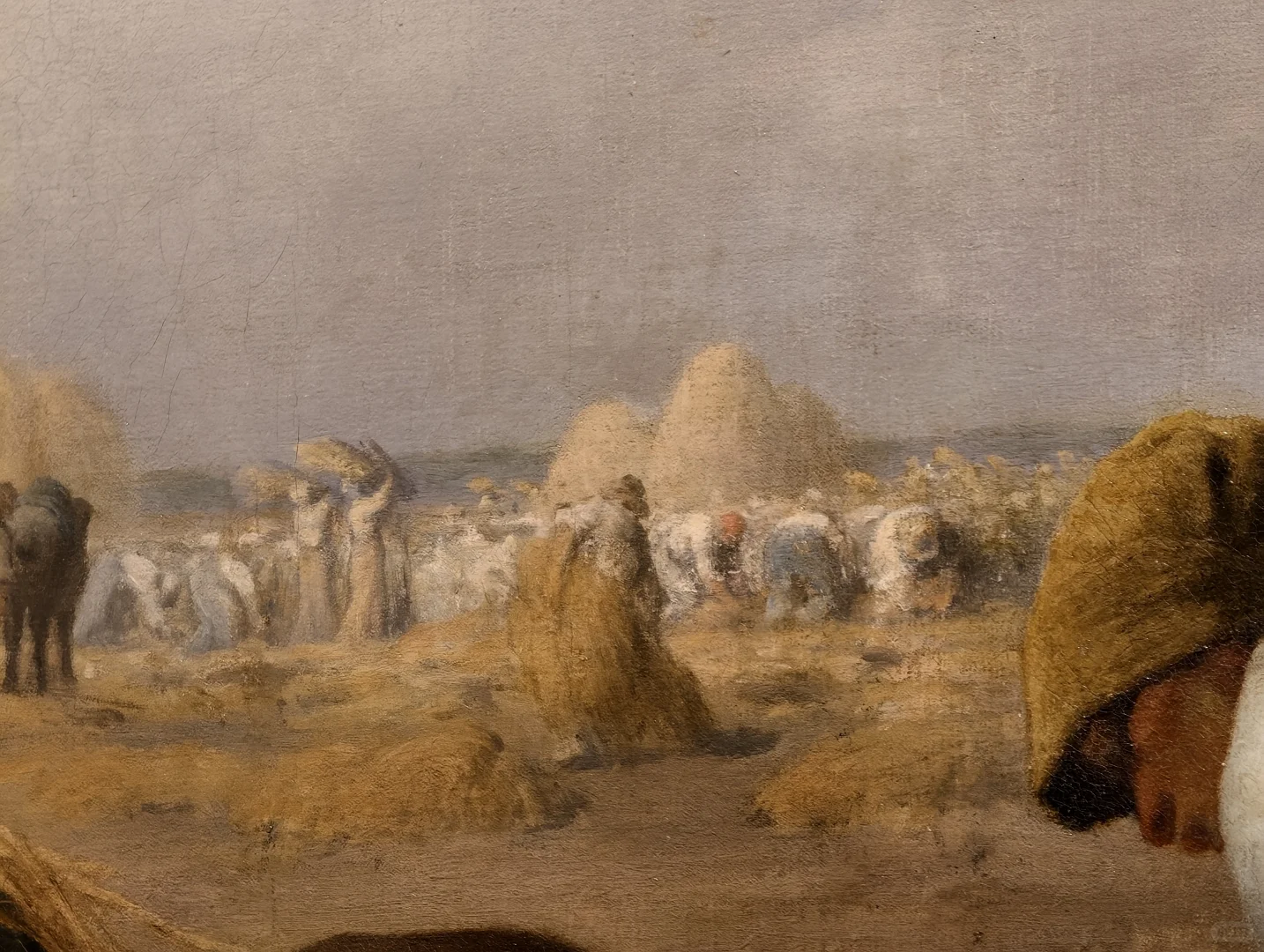 踩到奥赛展的尾巴