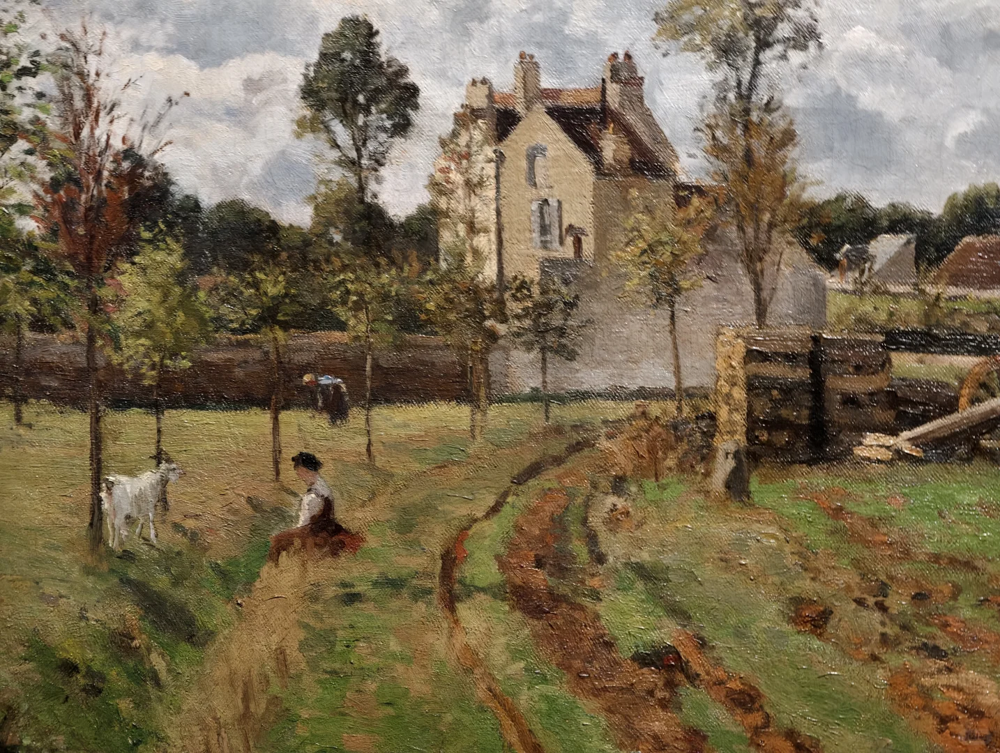 踩到奥赛展的尾巴