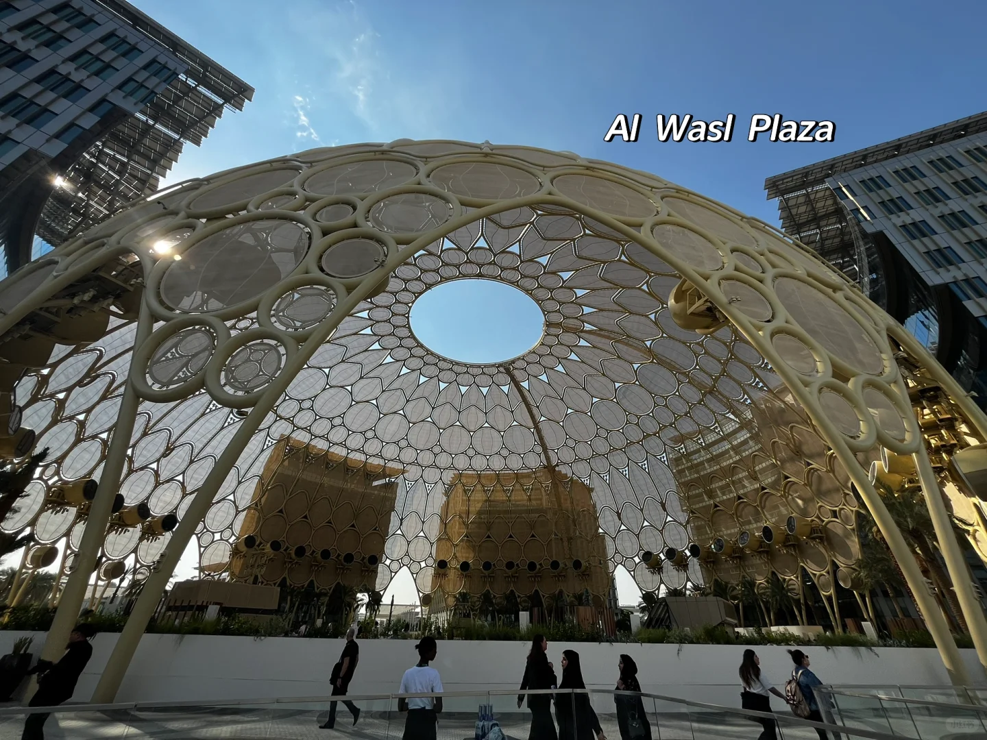 COP28之神奇的建筑