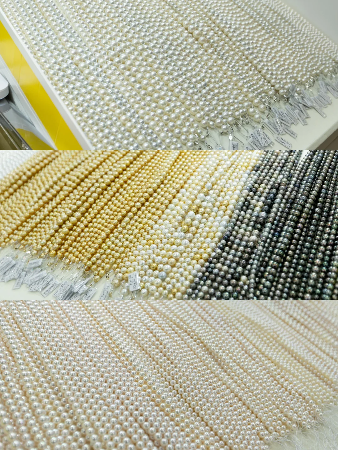 珍珠人必看|这样逛展效效率更高