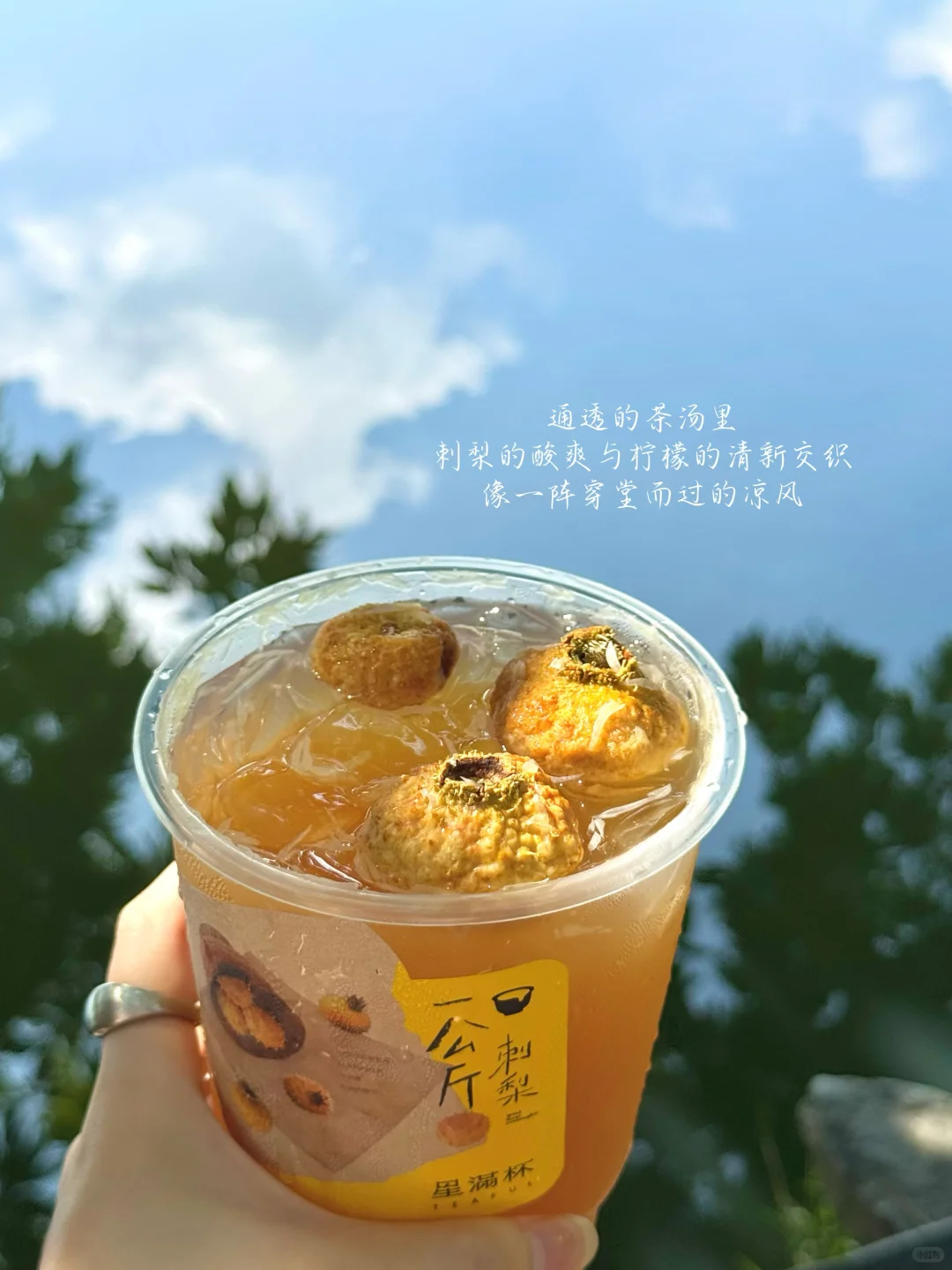 在深圳，十月是一场名为夏天的漫长诗篇
