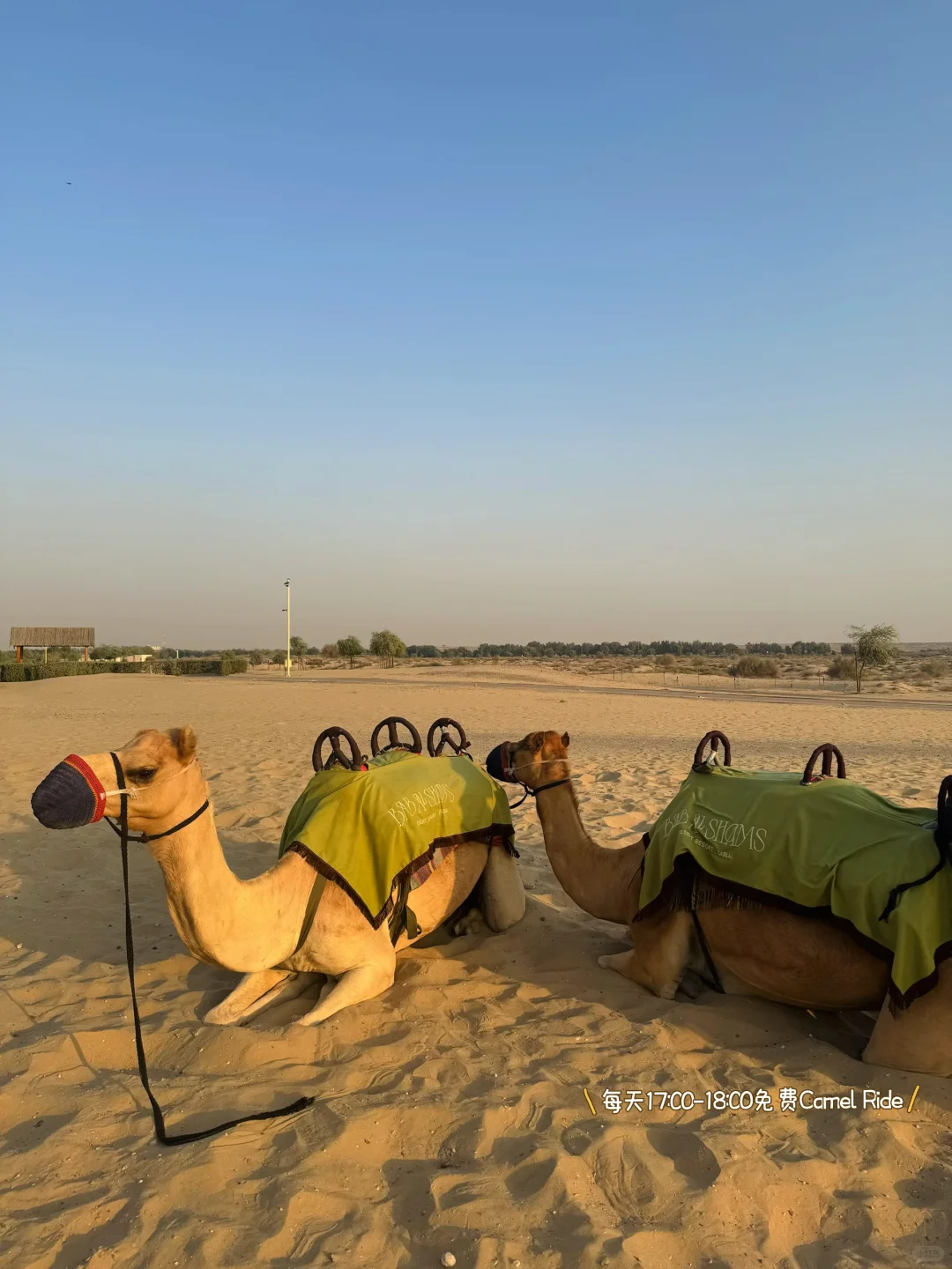 属于中东的浪漫|迪拜超绝沙漠度假酒店