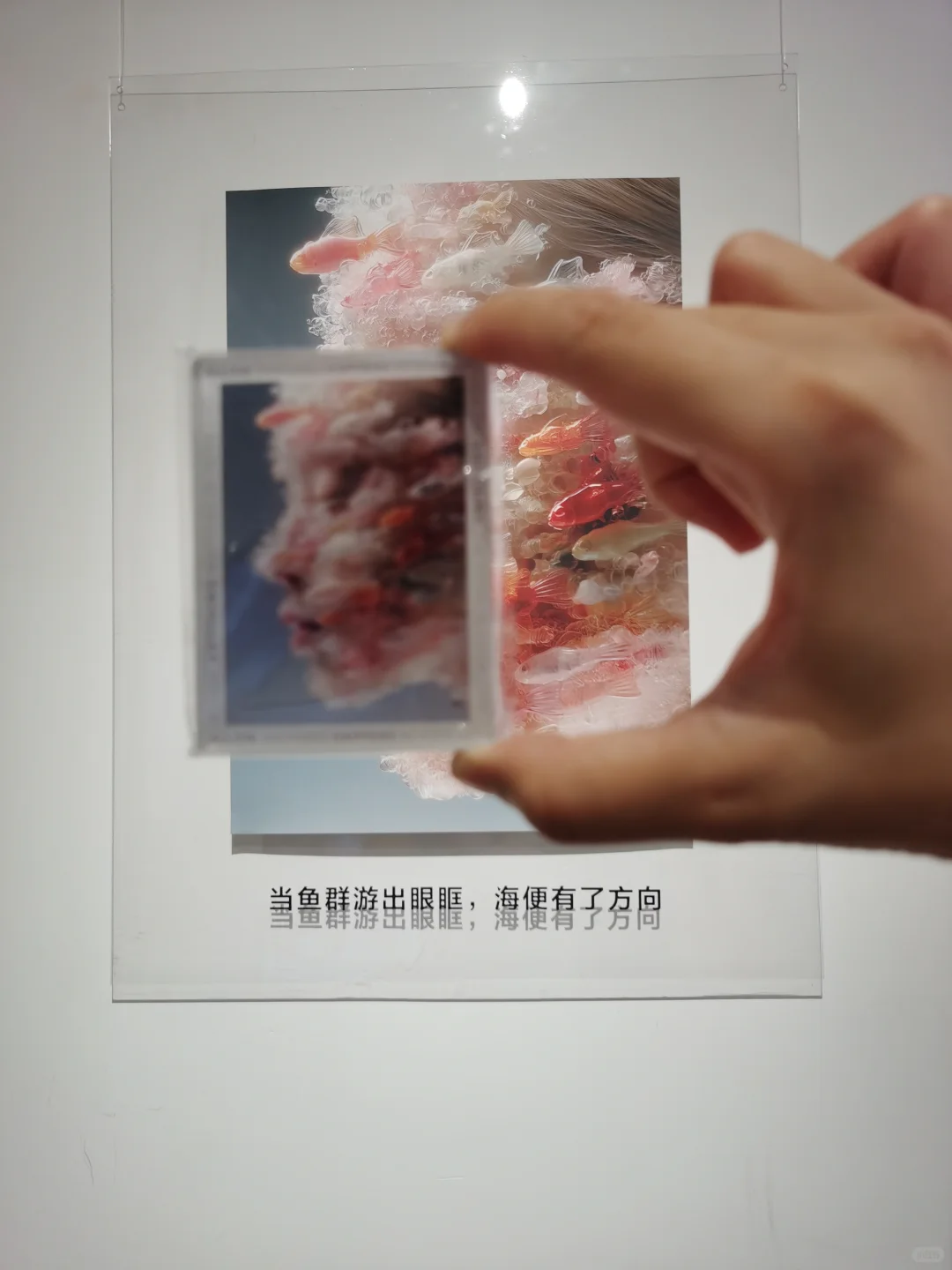 我要做个专题记录自己