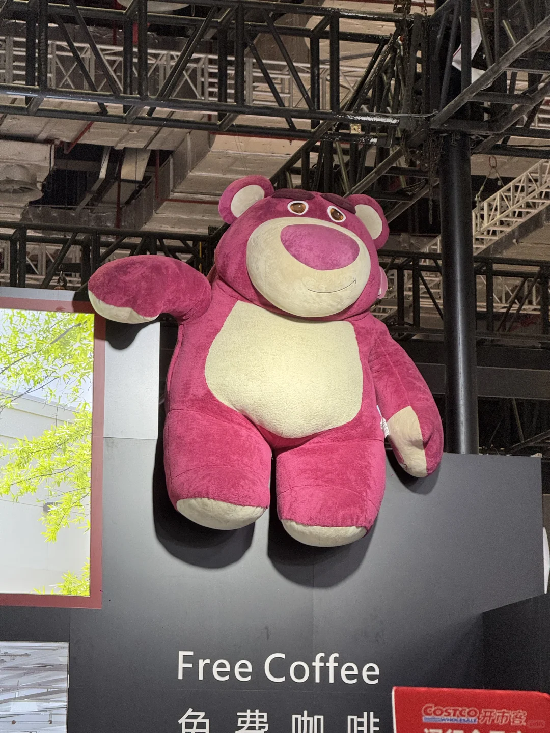 上海进博会打卡✌️