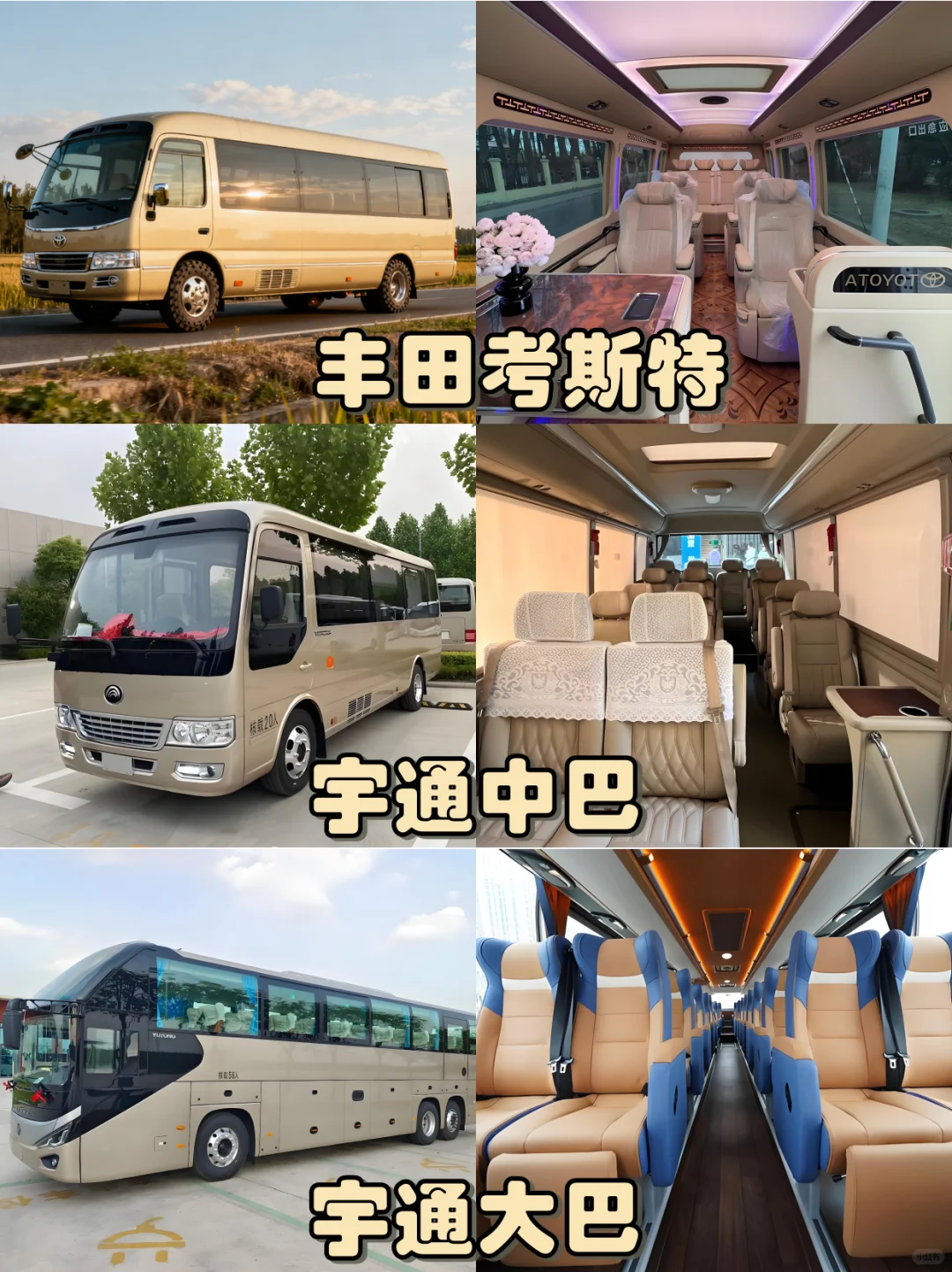 ?2025 广交会保姆级包车攻略!逛展无忧