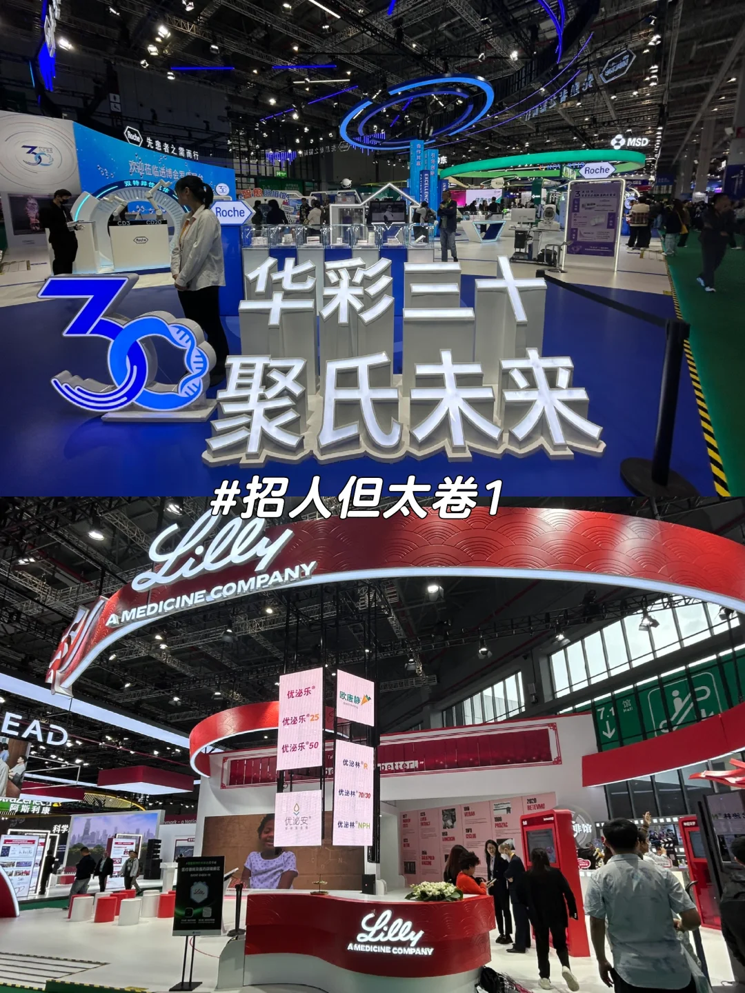 【进博会】医药展区深度游 如何向上社交