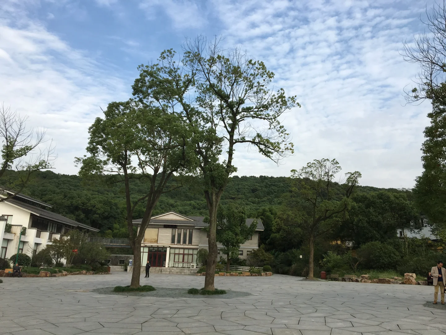 采购狗都不干，我干---买根针都要三家比价篇