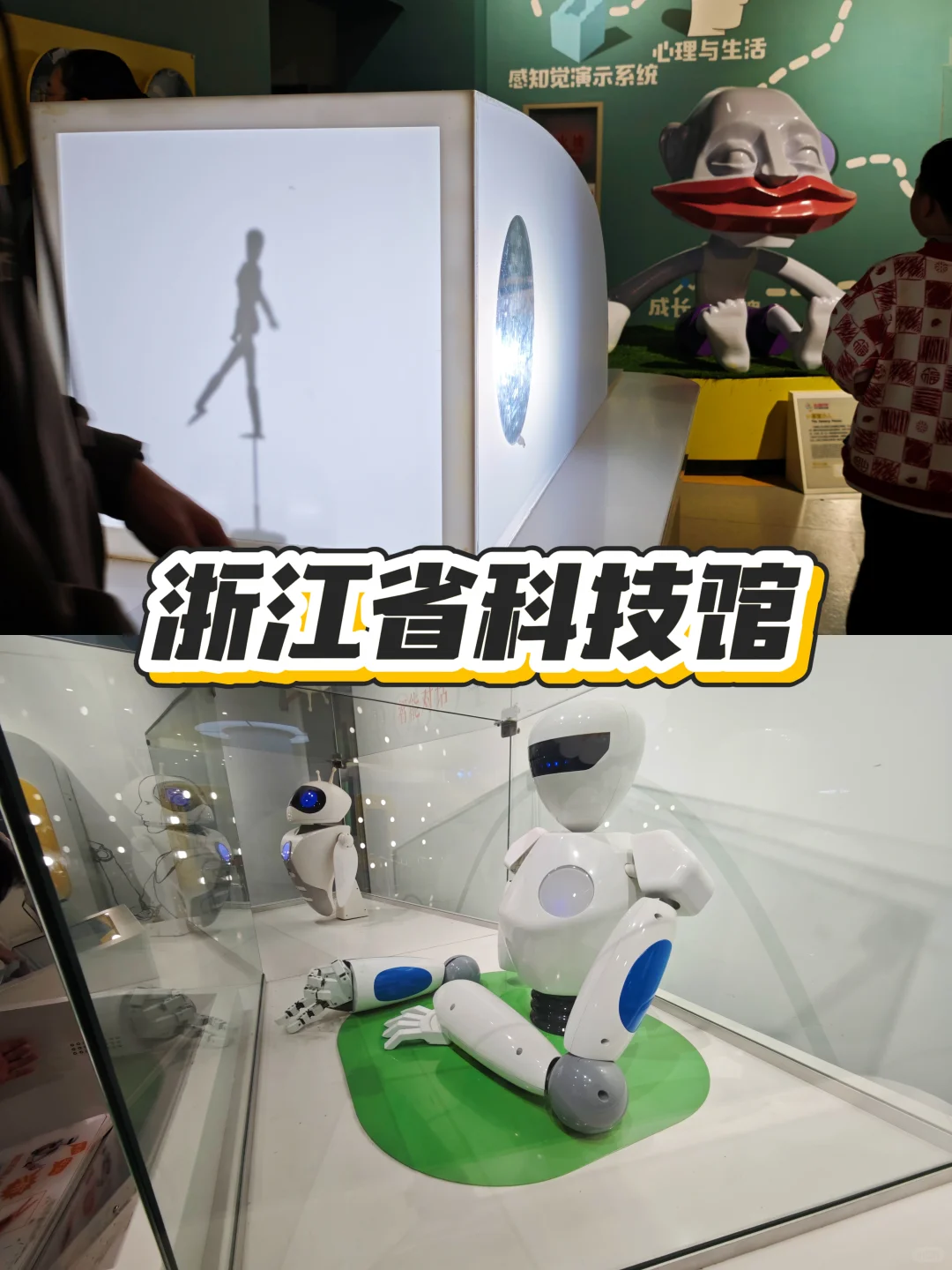 杭州免费亲子一日游！