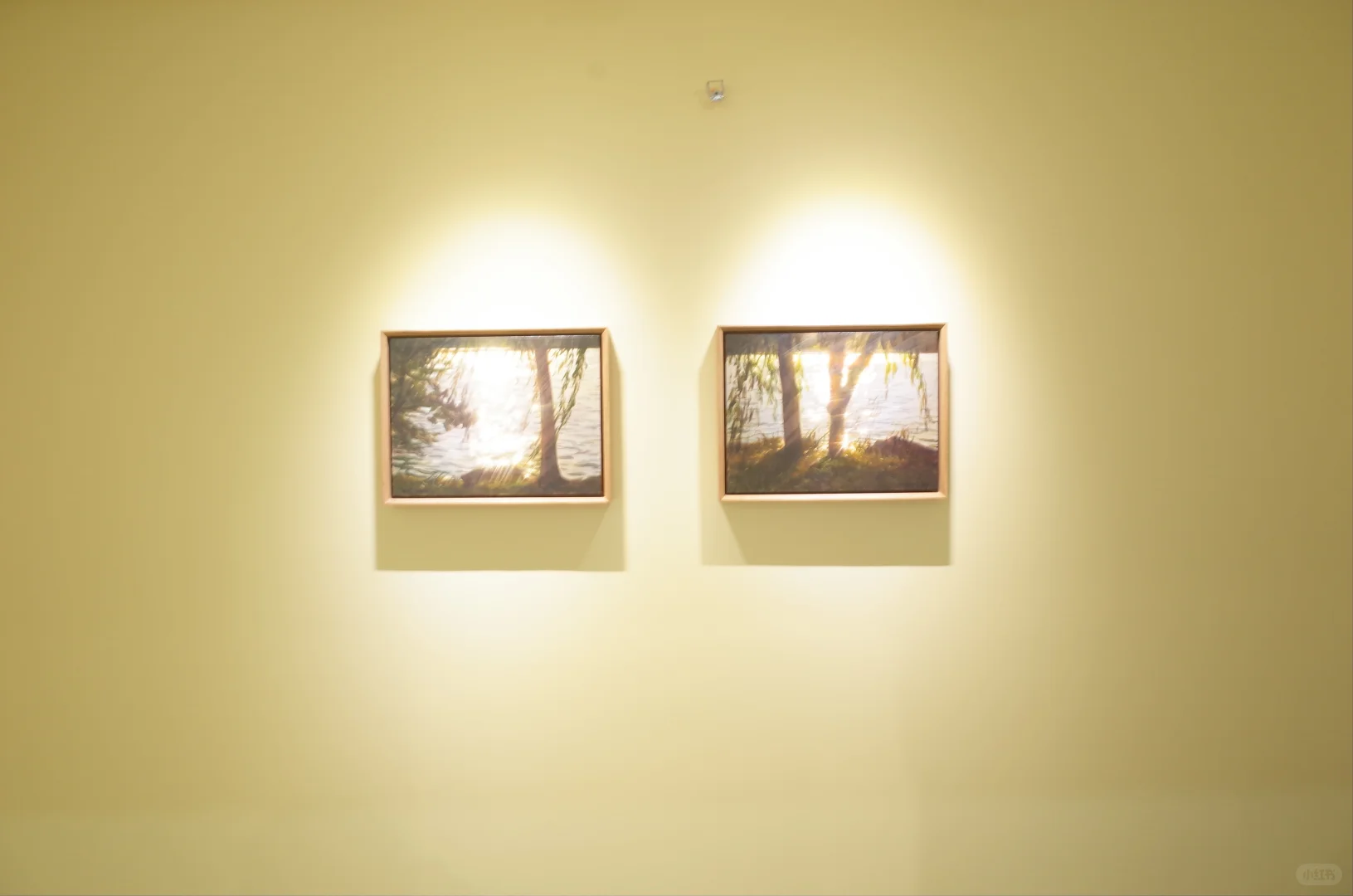 一次特别的展览创意策划