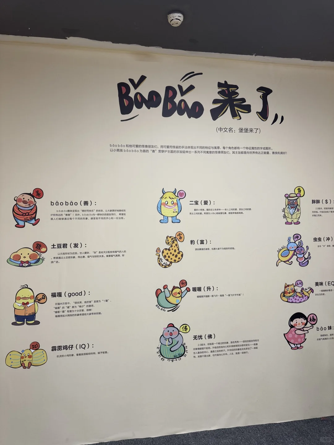 石家庄新展！baobao来了好好拍
