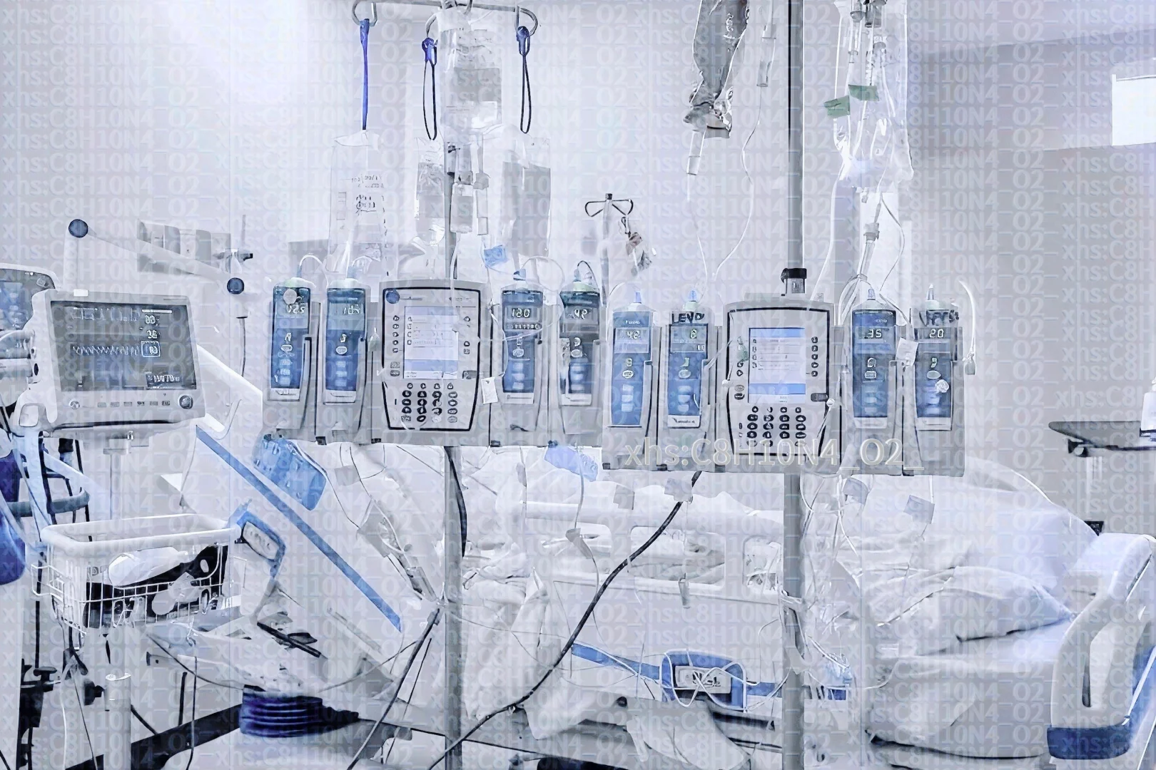 ⊹˚｡*.˚ +樹+ ˚.*｡˚⊹