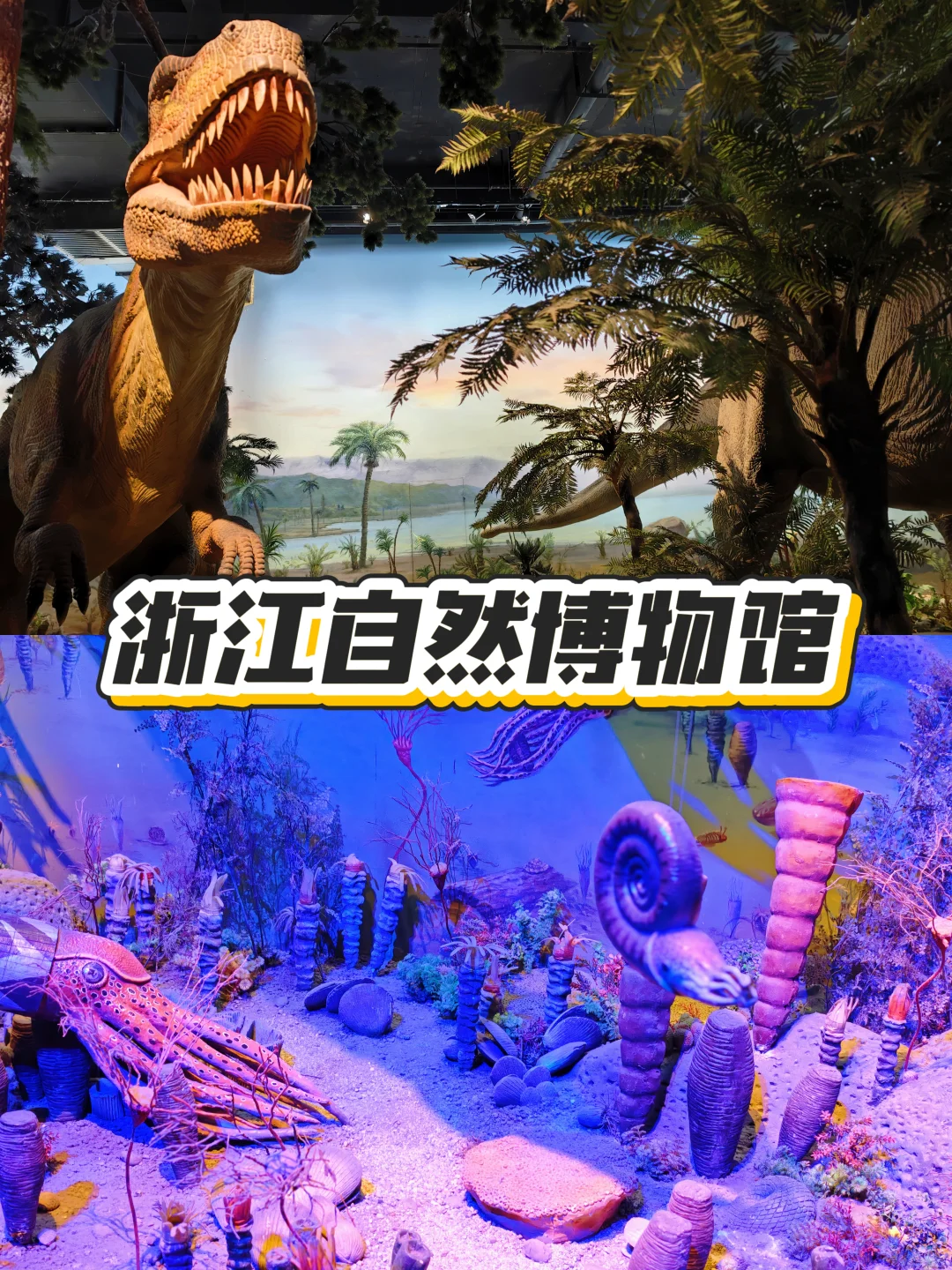 杭州免费亲子一日游！