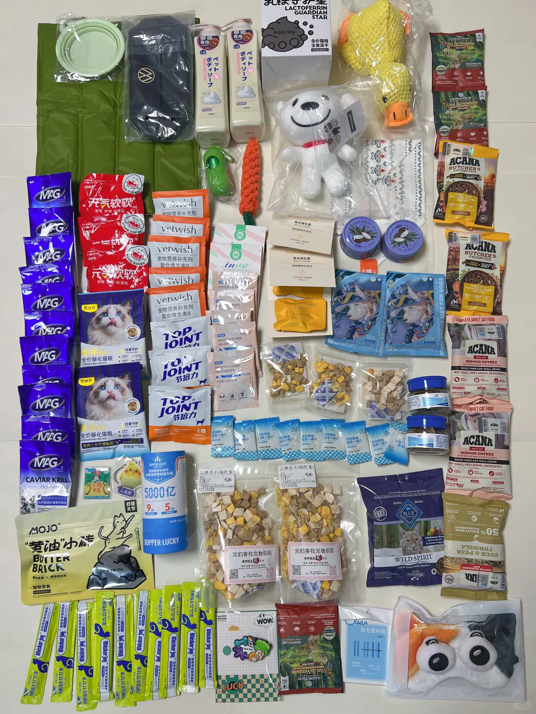 2025UPet宠物展逛展攻略❗️❗️