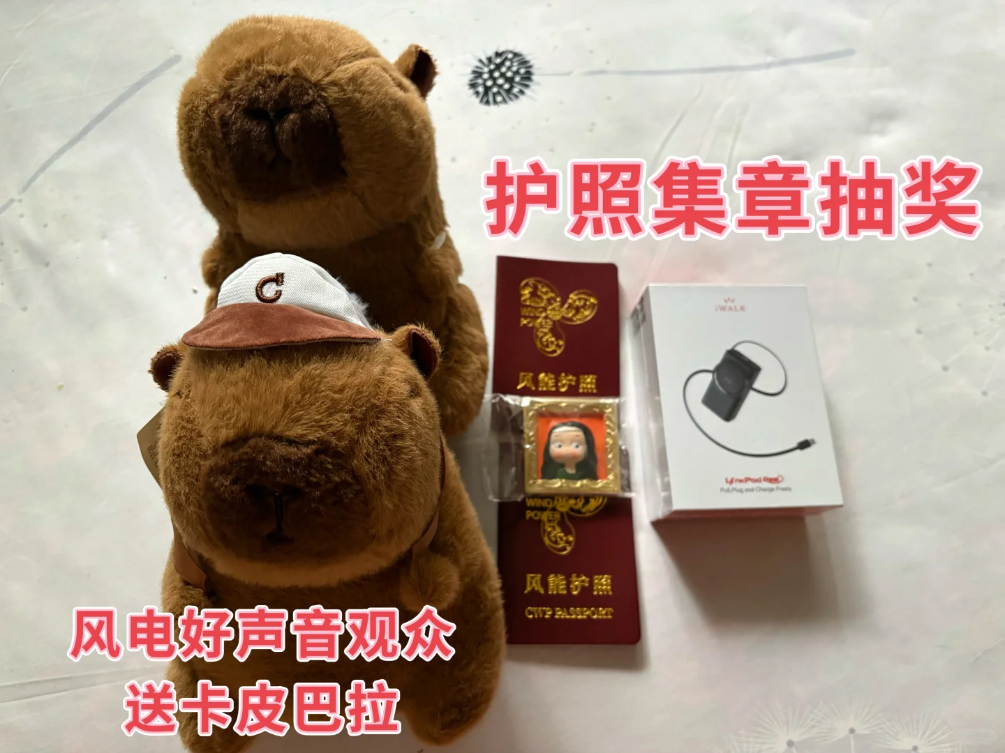 【护照互换】2025北京国际风能展