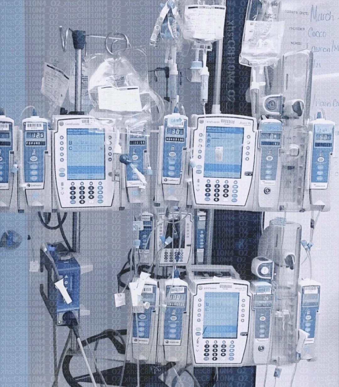 ⊹˚｡*.˚ +樹+ ˚.*｡˚⊹