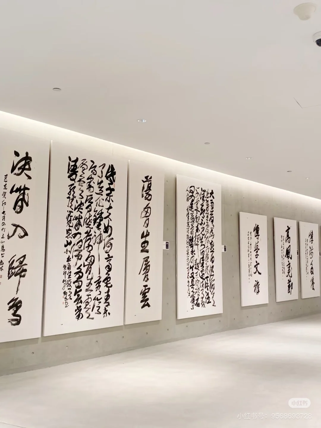 不一样的美术馆
