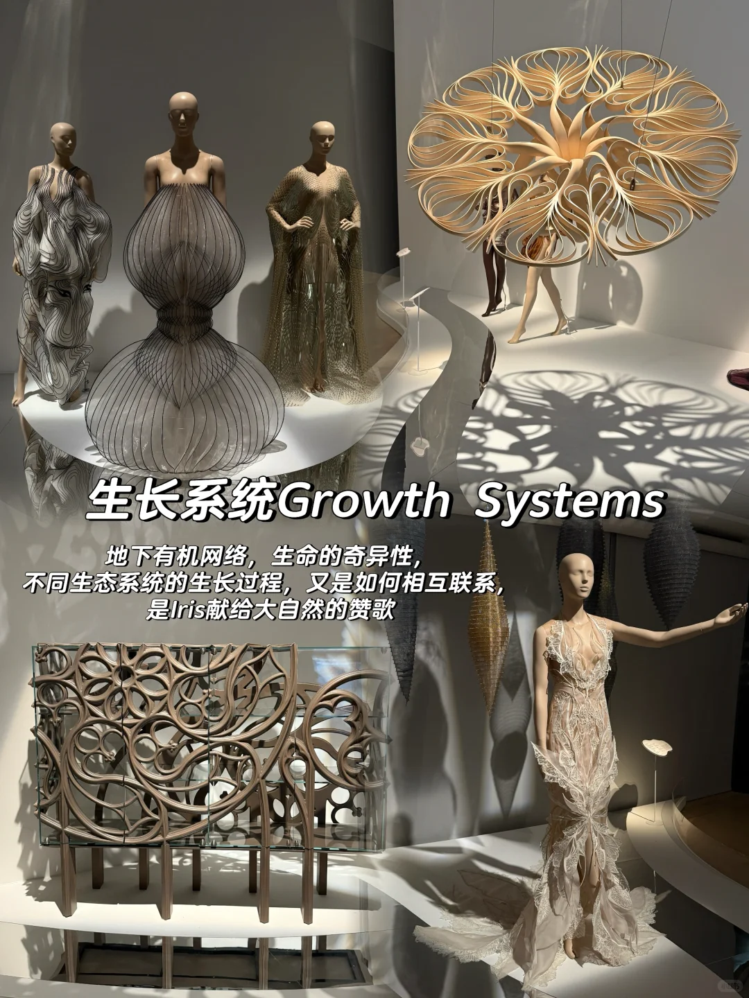 时尚迷圆梦|新加坡IVH时尚展览(第一篇)