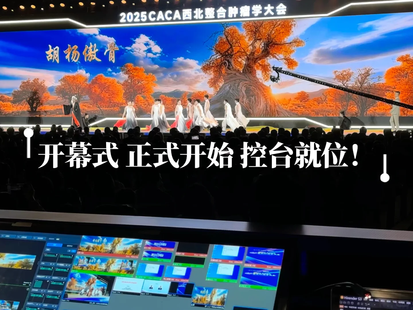 大三会展人“带薪上班”的一周