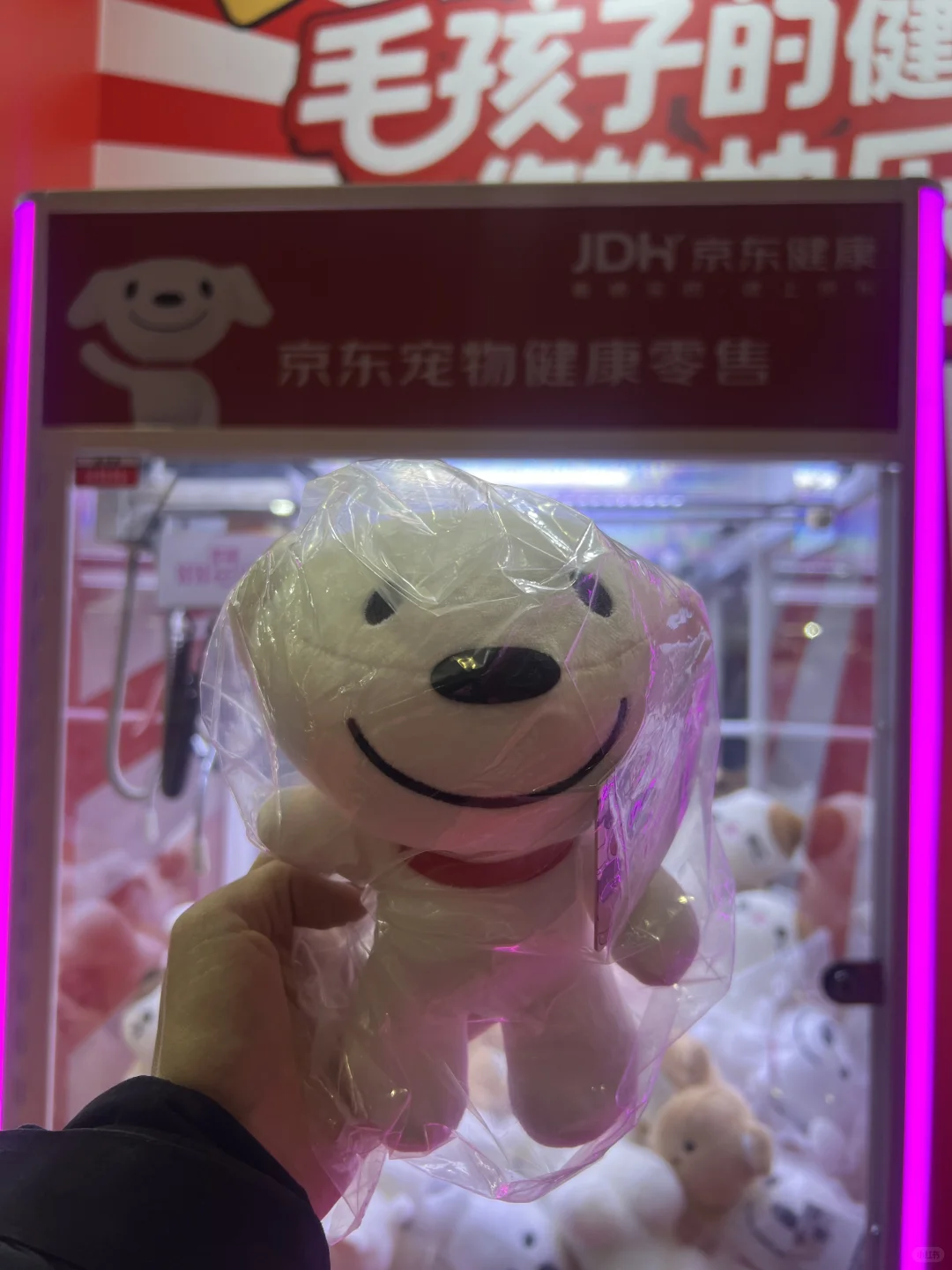 2025UPet宠物展逛展攻略❗️❗️