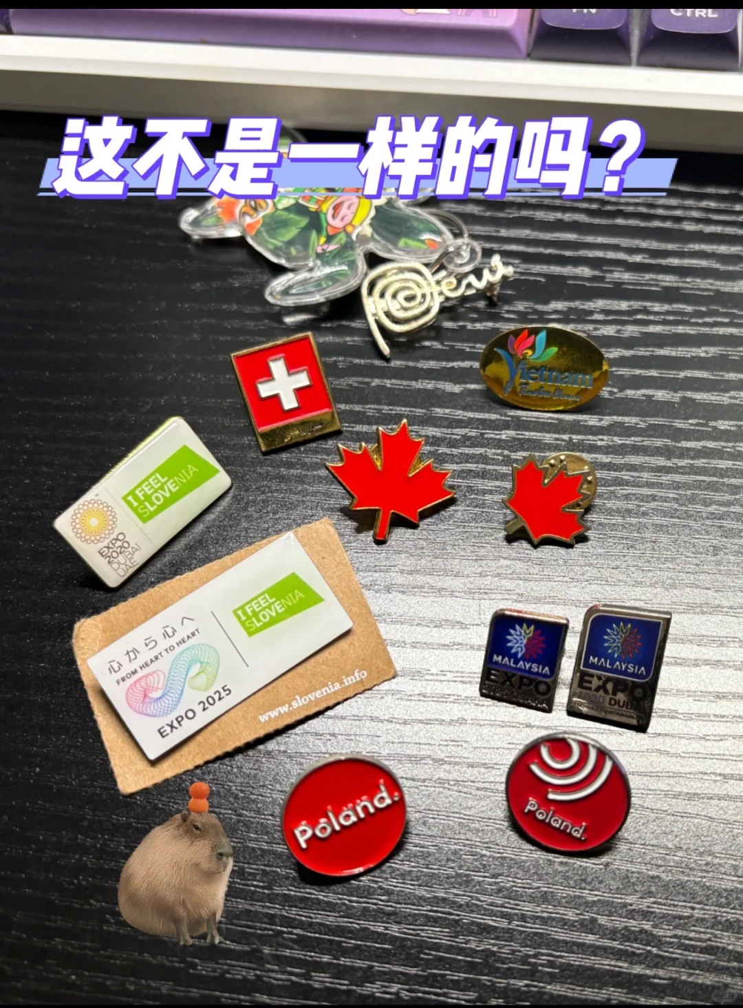 世博大比拼｜这些国家居然连PIN都套娃？