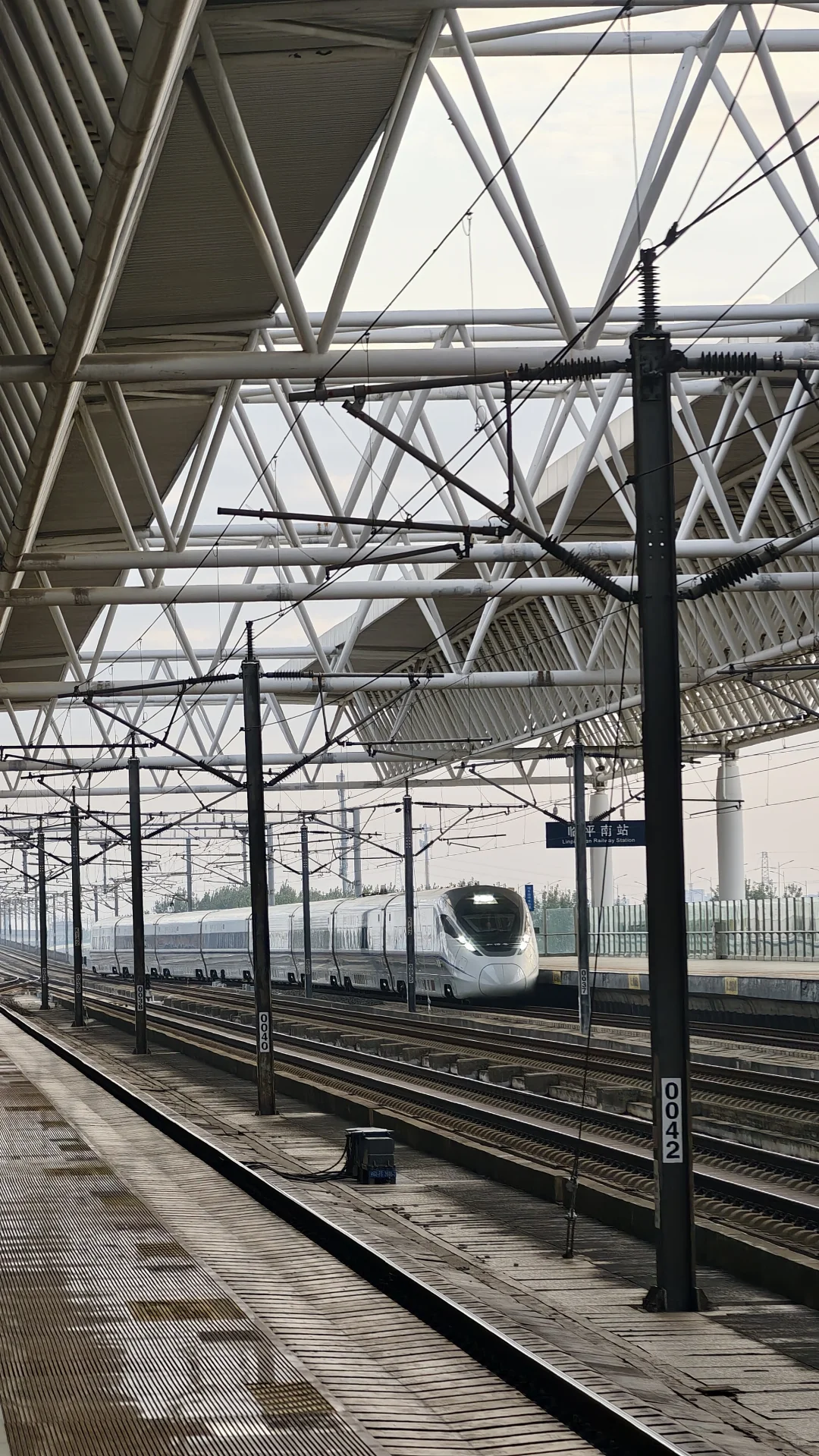 2025 上海口腔展优雅逛展