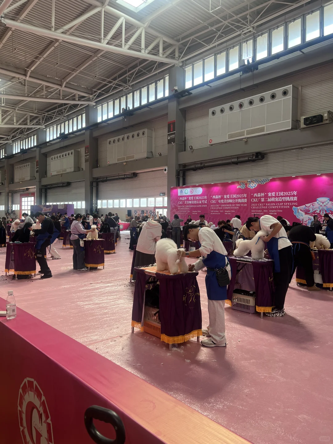 2025金诺·亚太国际宠物产业展览会亚太宠物