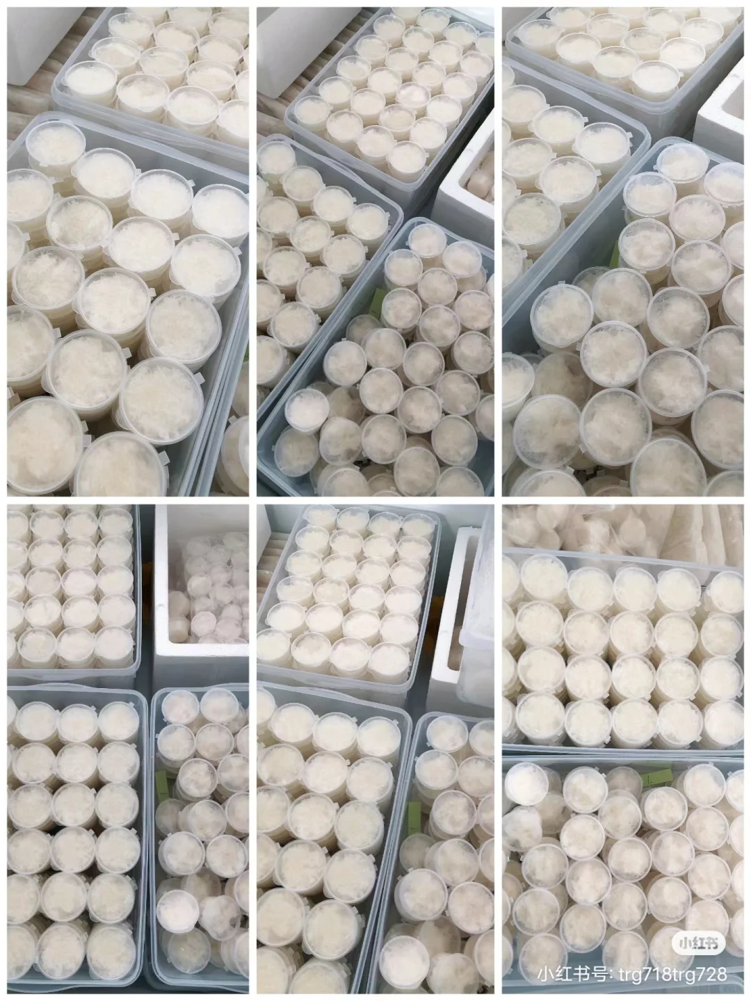 滋补品店一站式采购平台，工厂源头直供