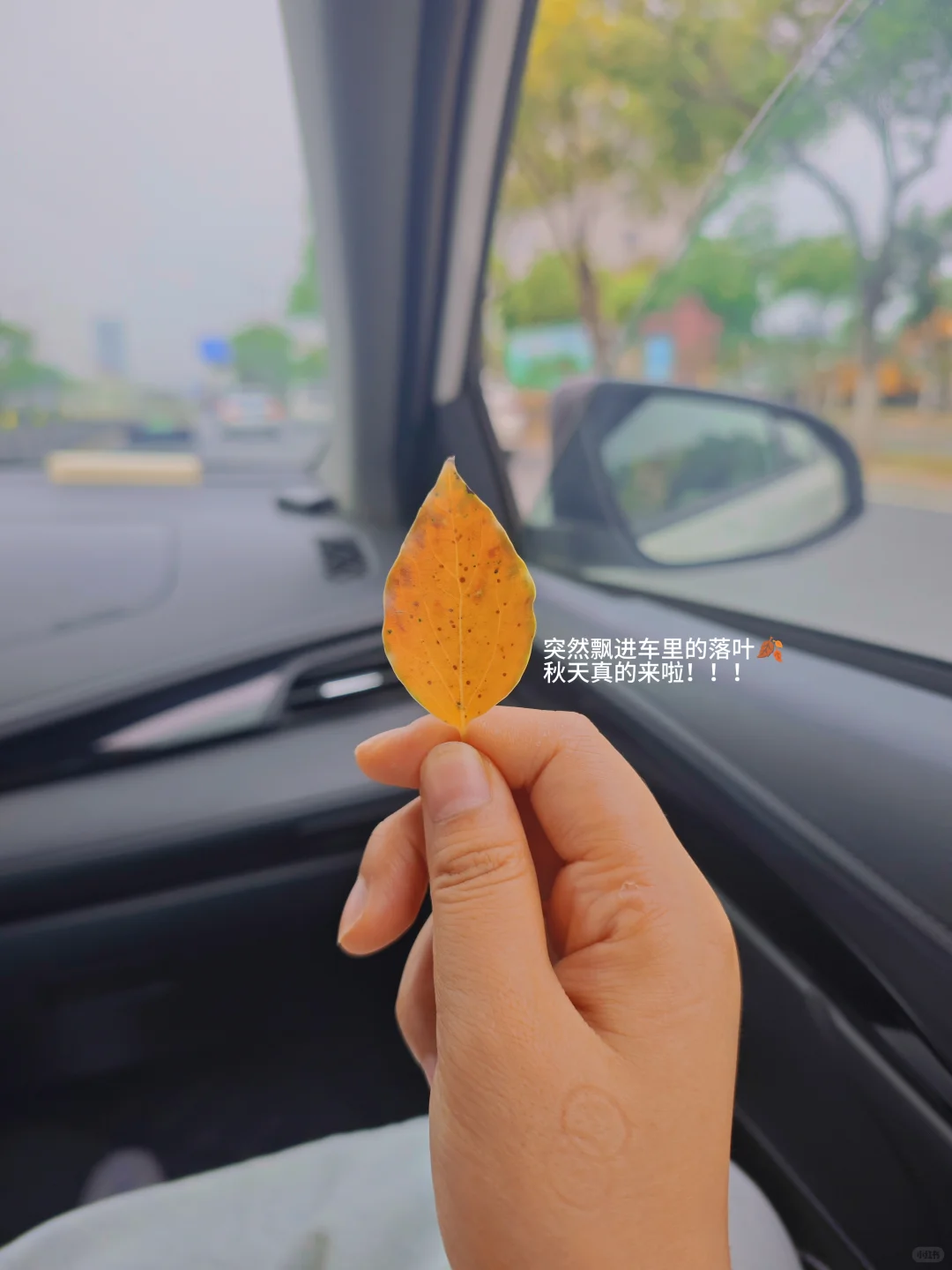 采购日常|手把手教你建超硬核供应商名录✌