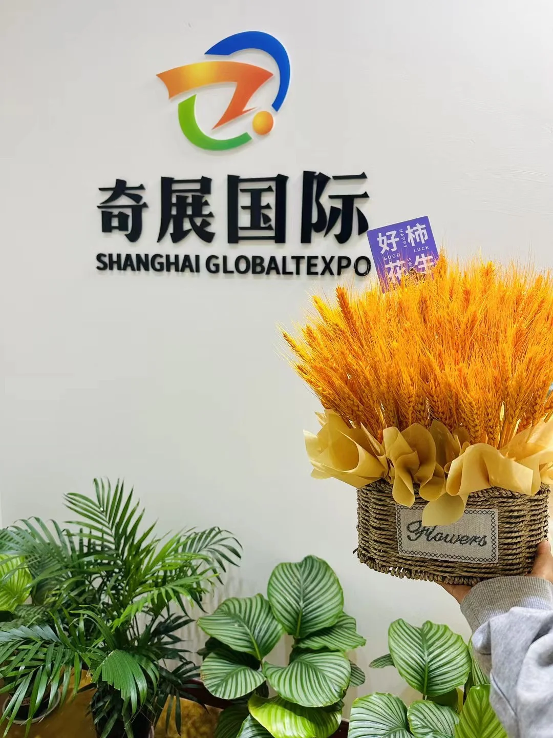 招人啦～坐标闵行