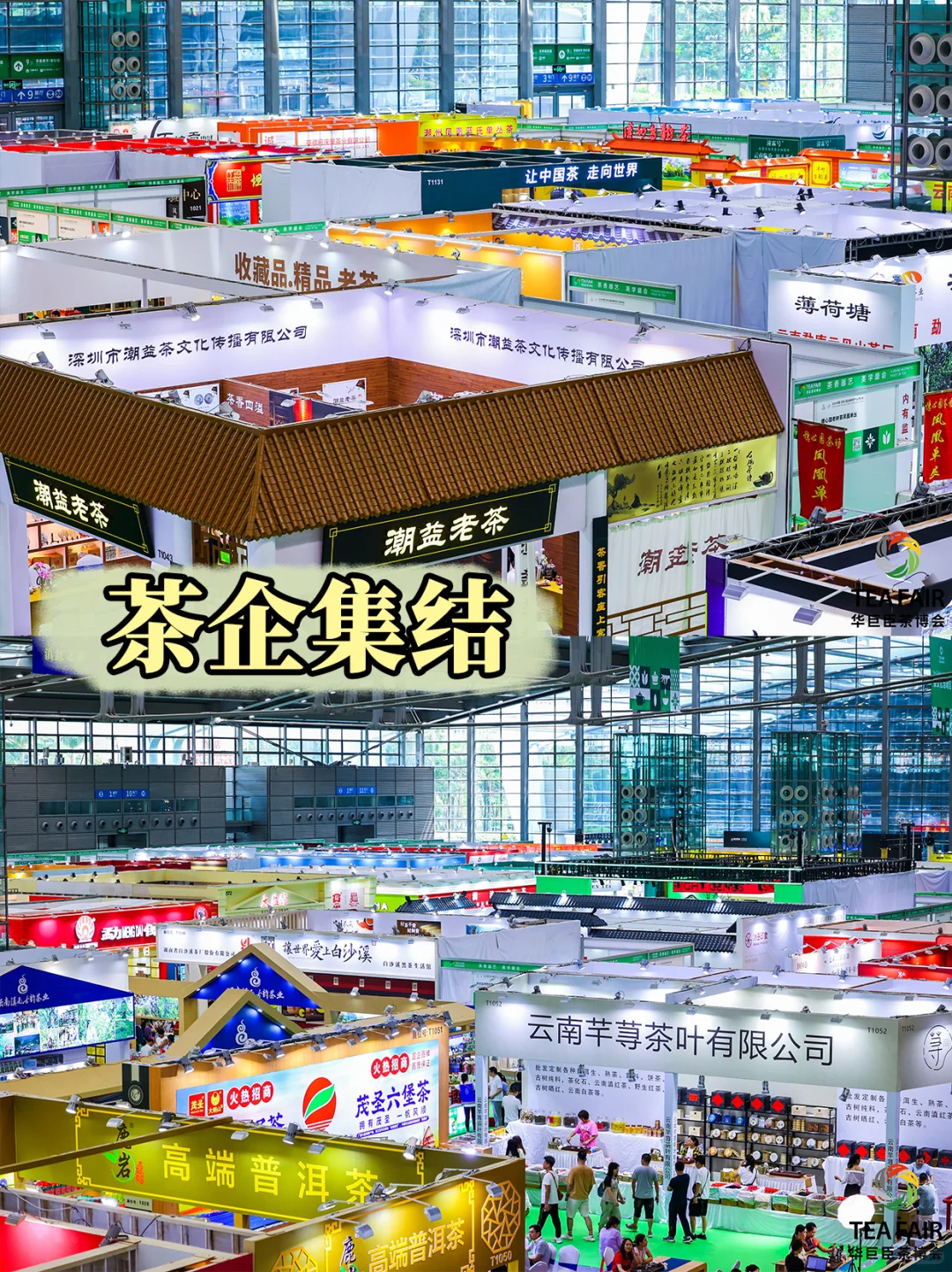 杭州｜2025必打卡的宋韵茶博会来啦?