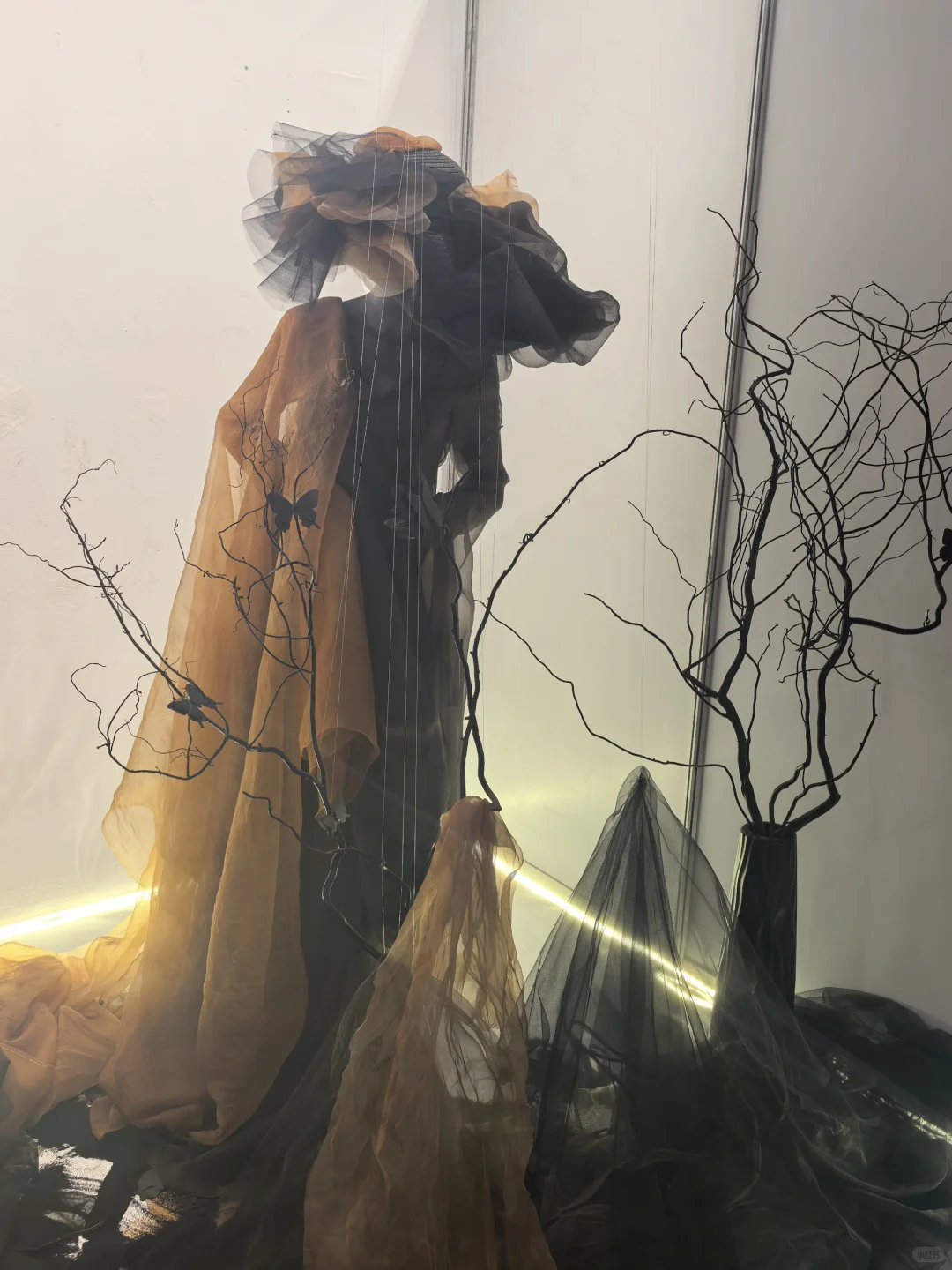 西美服装系毕业展