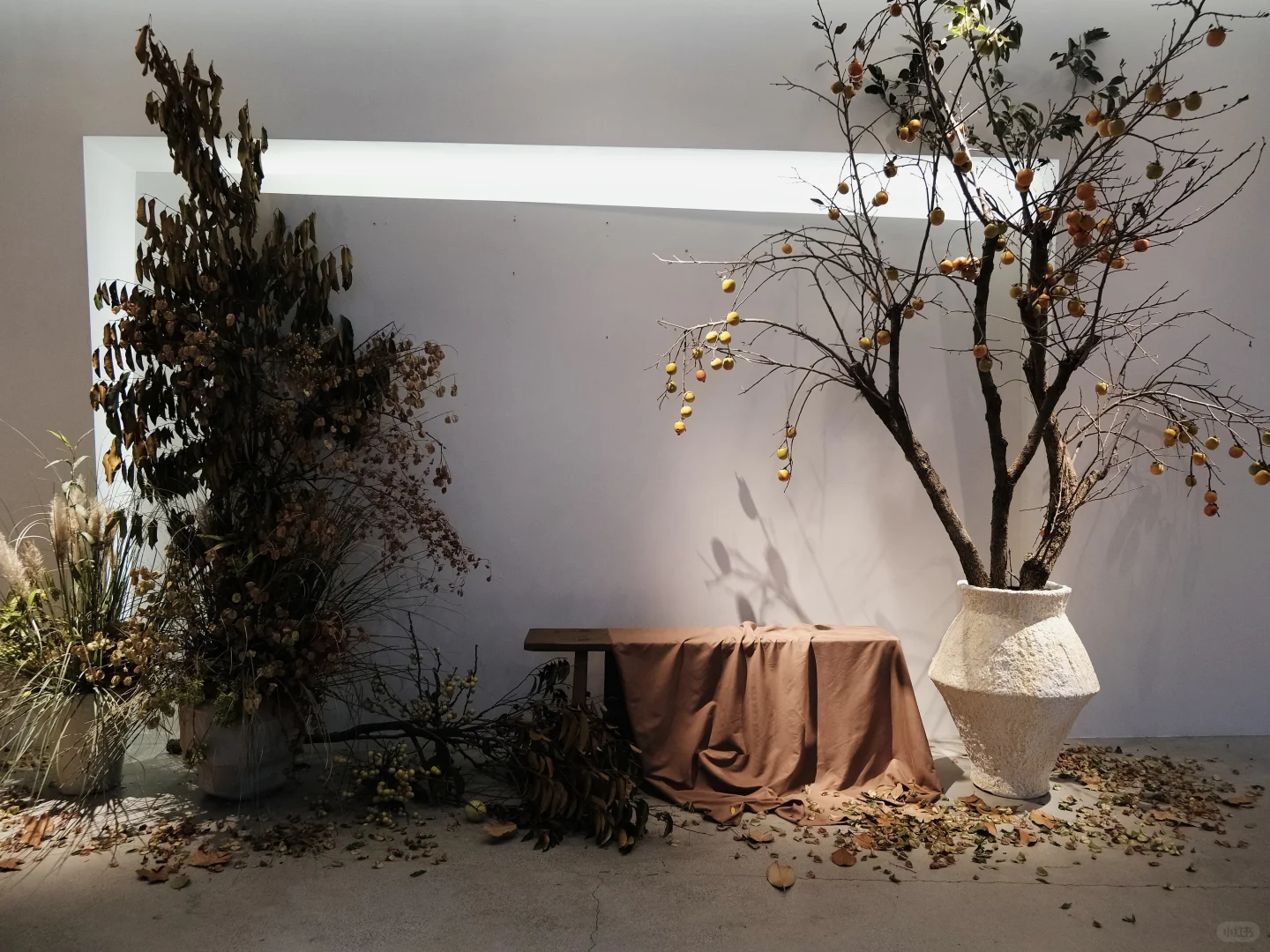 主理人日常｜我在服装美学空间办了个展?