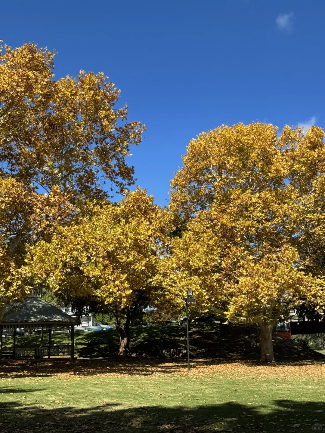 青春献给流水线,澳洲肉厂女工一周1800刀