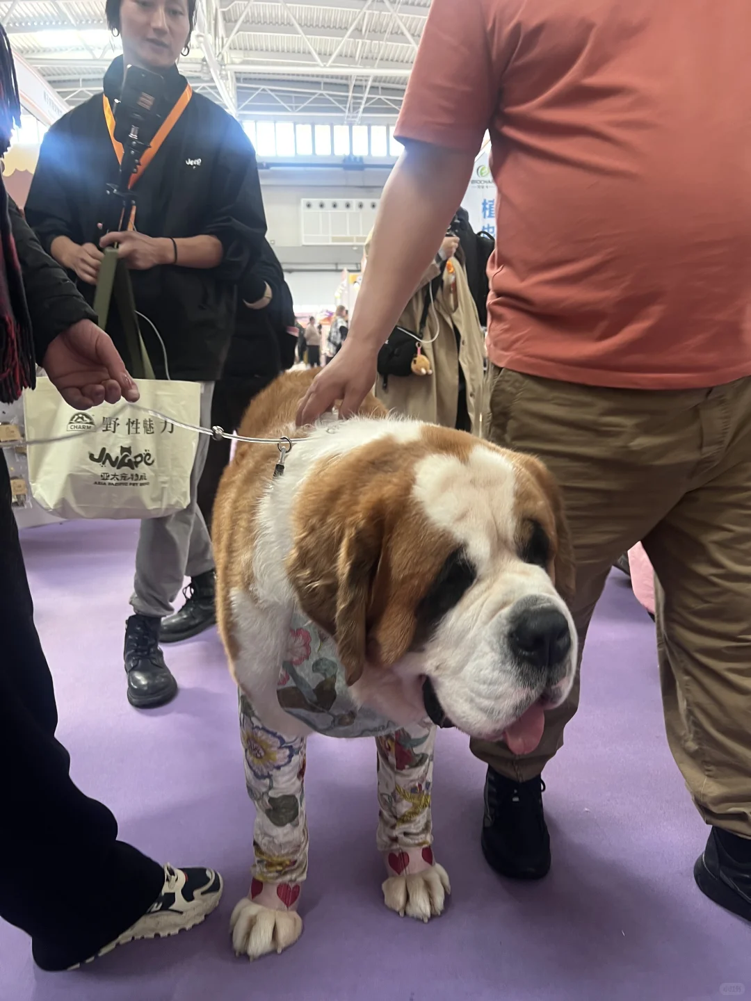 2025金诺·亚太国际宠物产业展览会亚太宠物